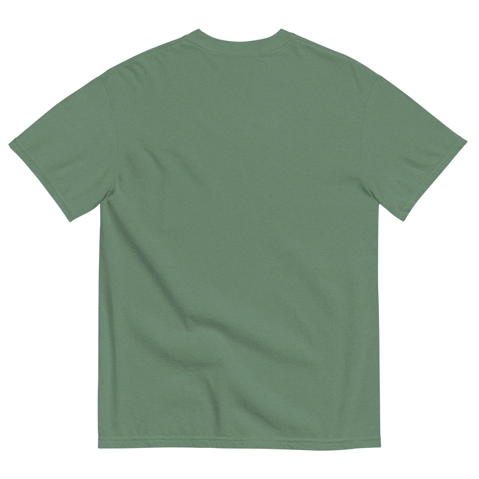 unisex-garment-dyed-heavyweight-t-shirt-light-green-back-67fd7ff83b05a.jpg