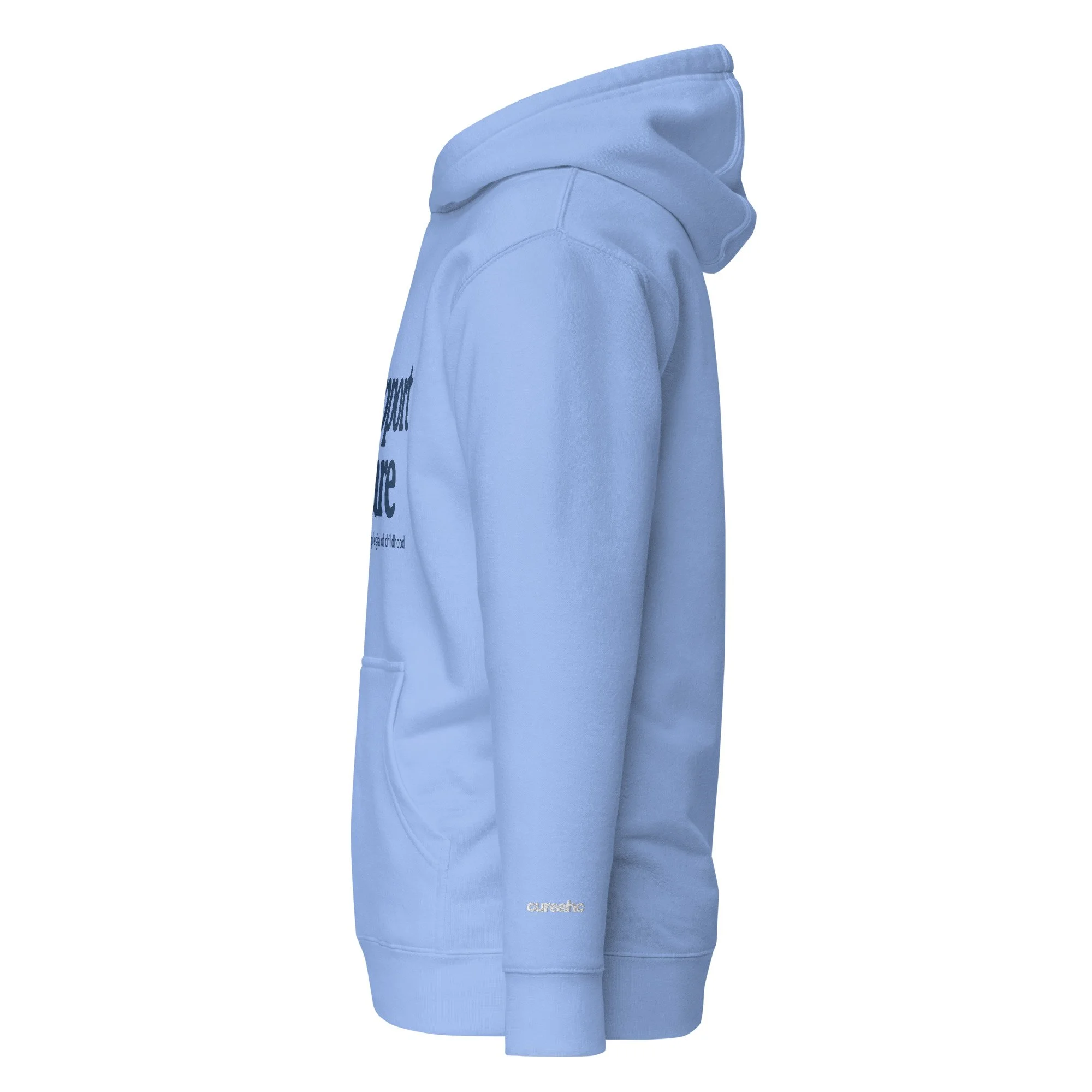 unisex-premium-pullover-hoodie-carolina-blue-left-6a0b64c832d31.jpg