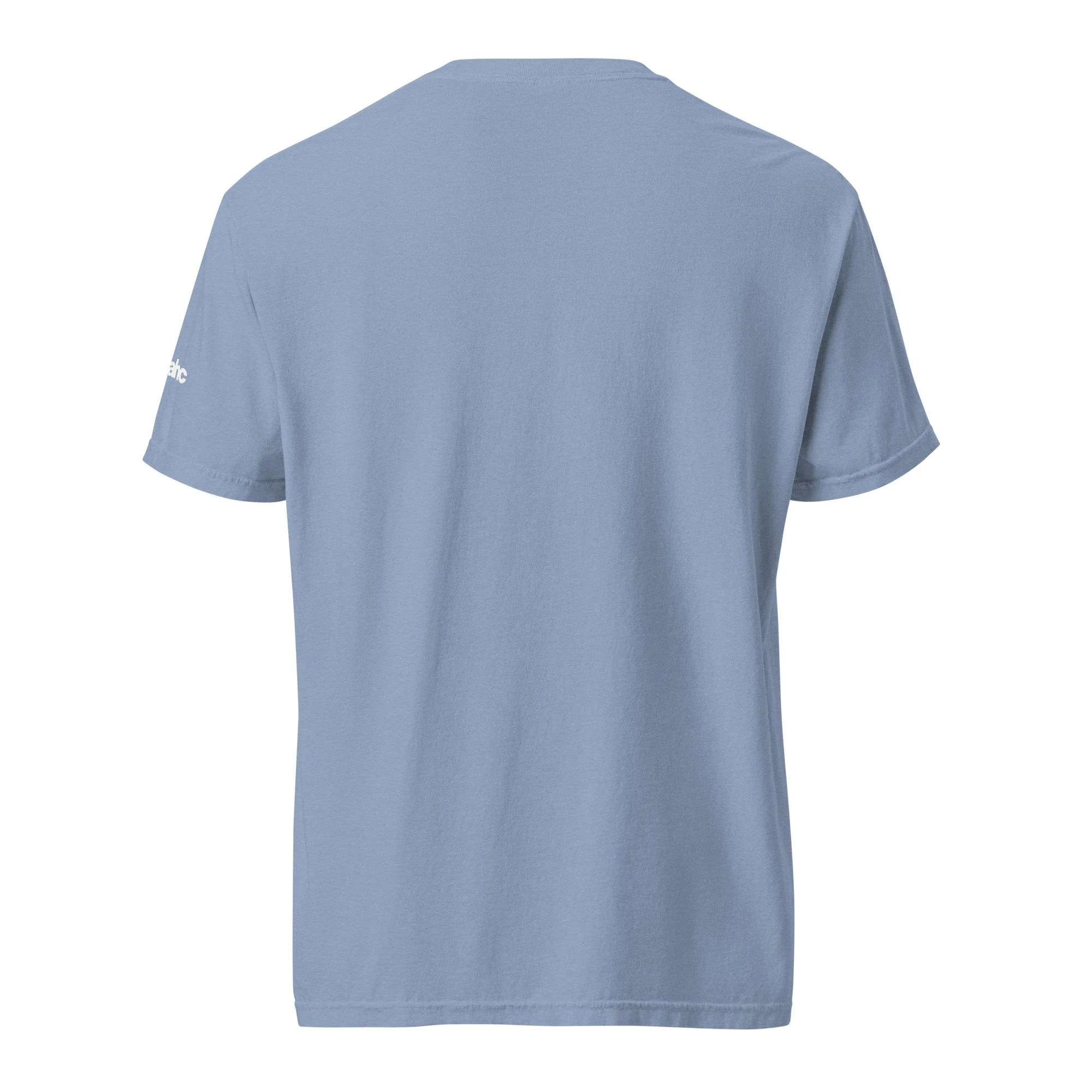unisex-garment-dyed-heavyweight-t-shirt-washed-denim-back-6a0b6a757ddc5.jpg