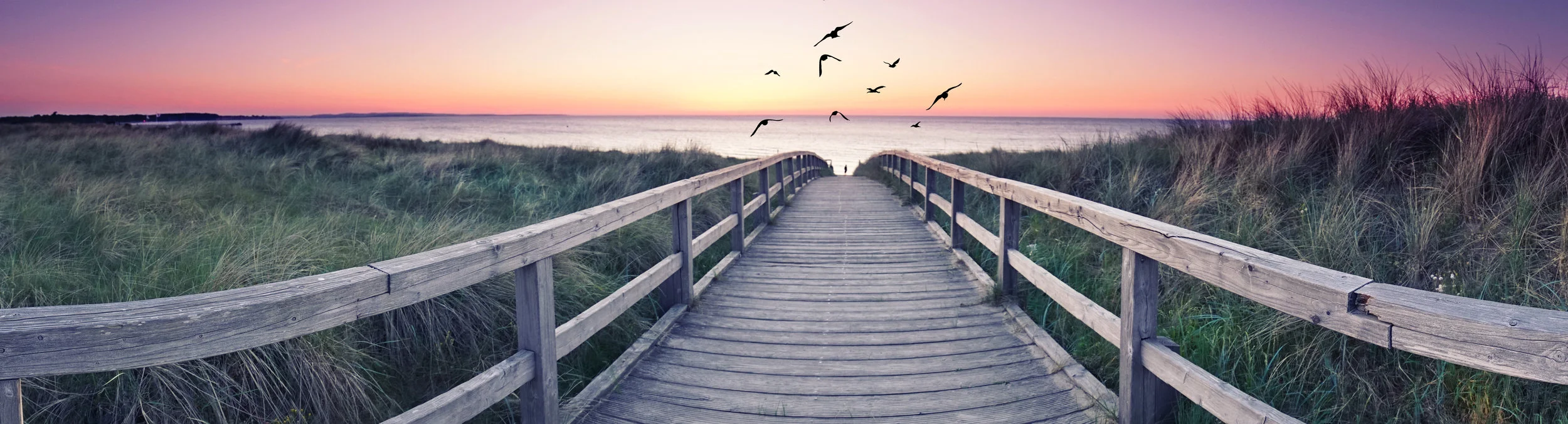 Birds on bridge .jpeg