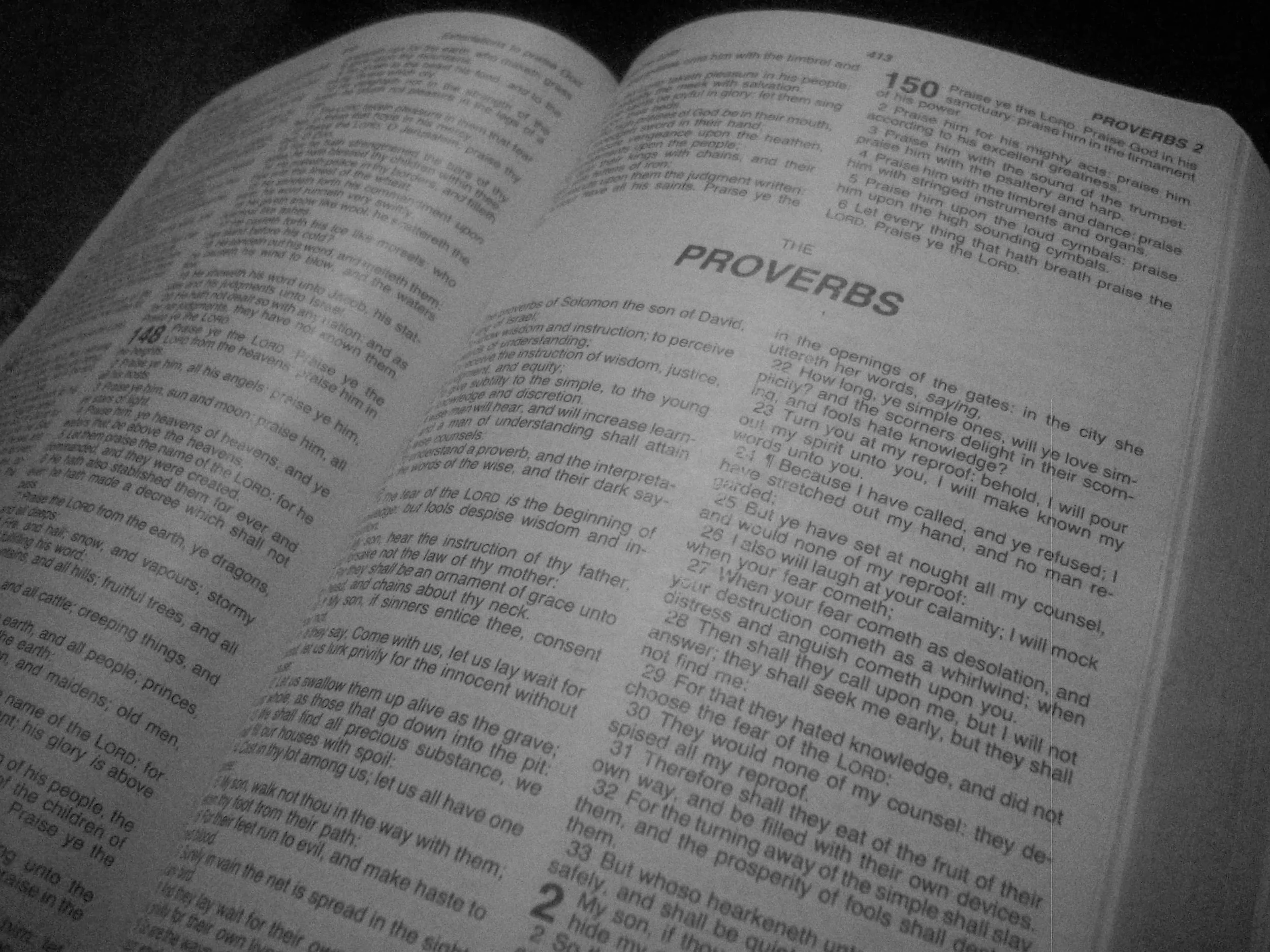 100_7538.JPG