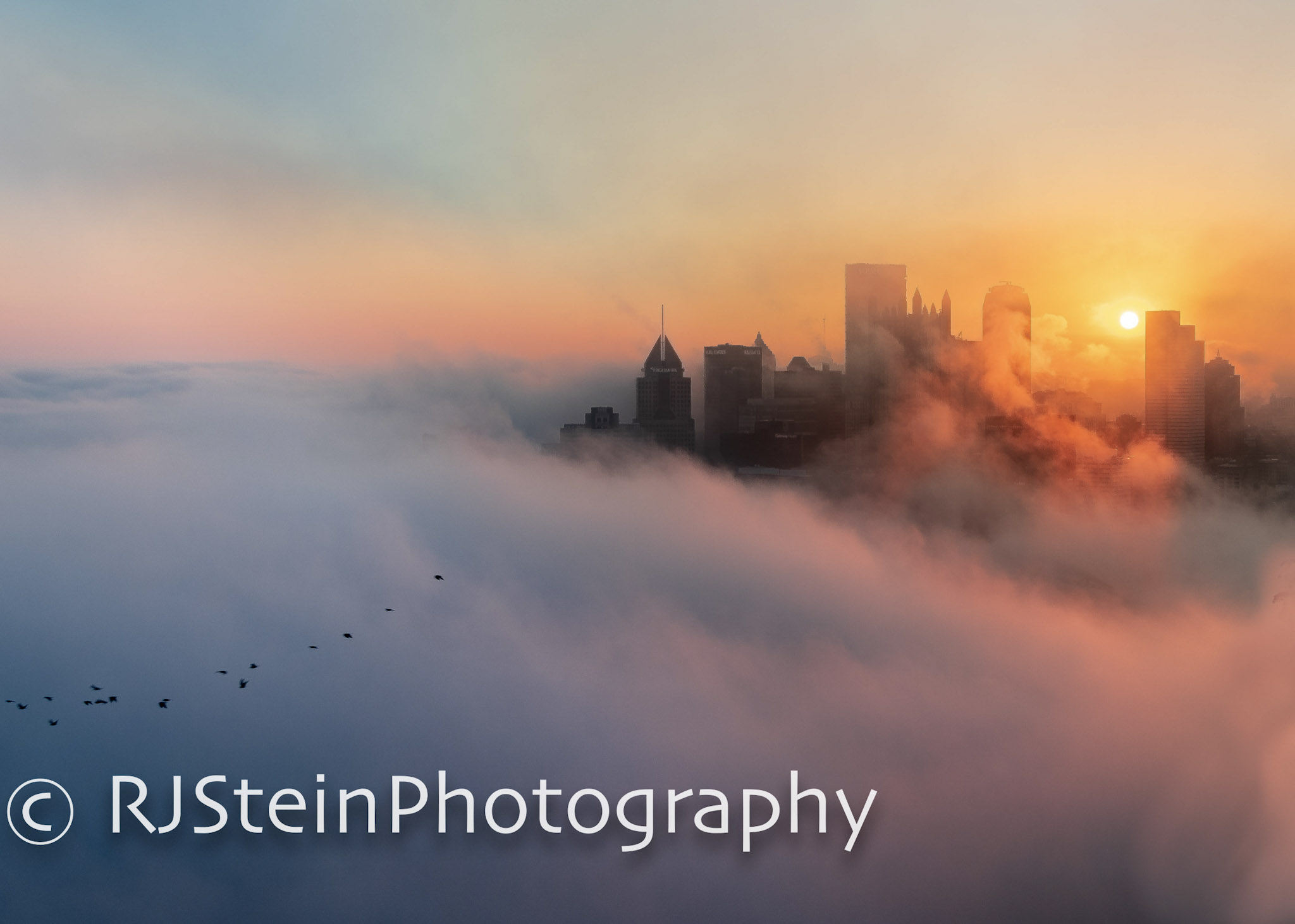 cloud city with birds, pittsburgh, 2018