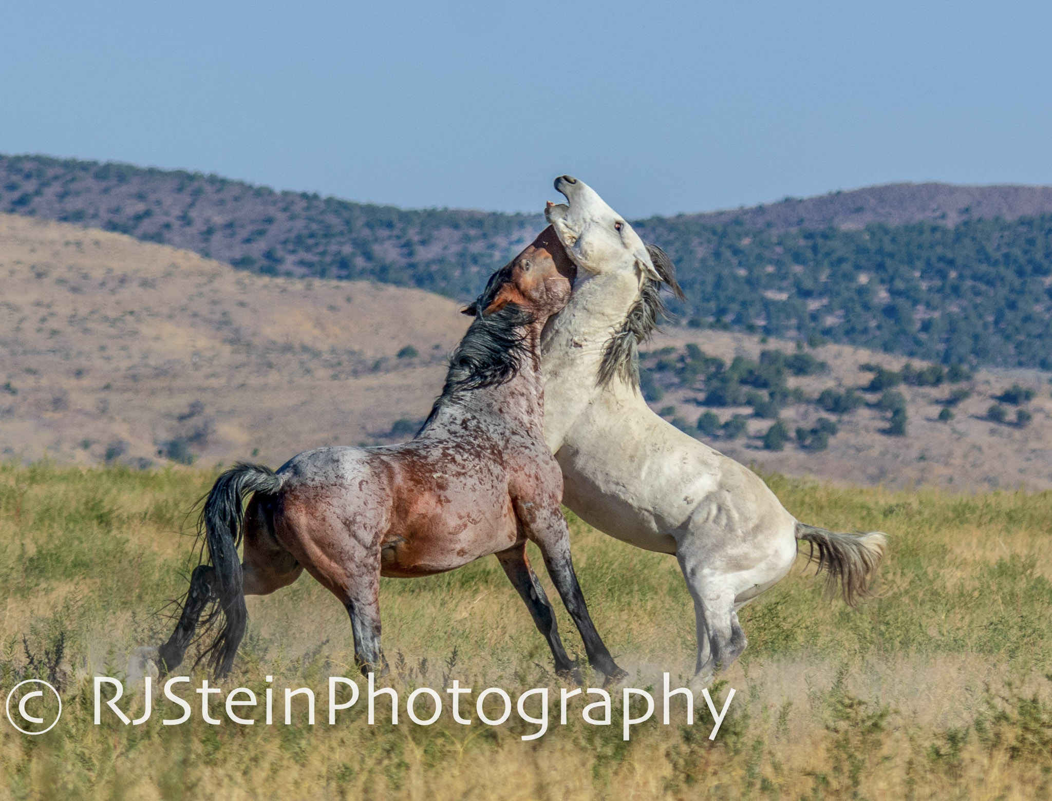 intertwined kings, utah, 2018