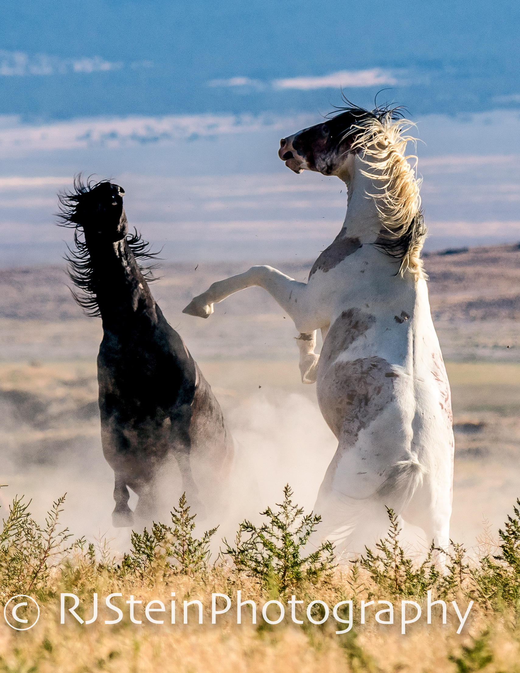 clashing kings, utah, 2018