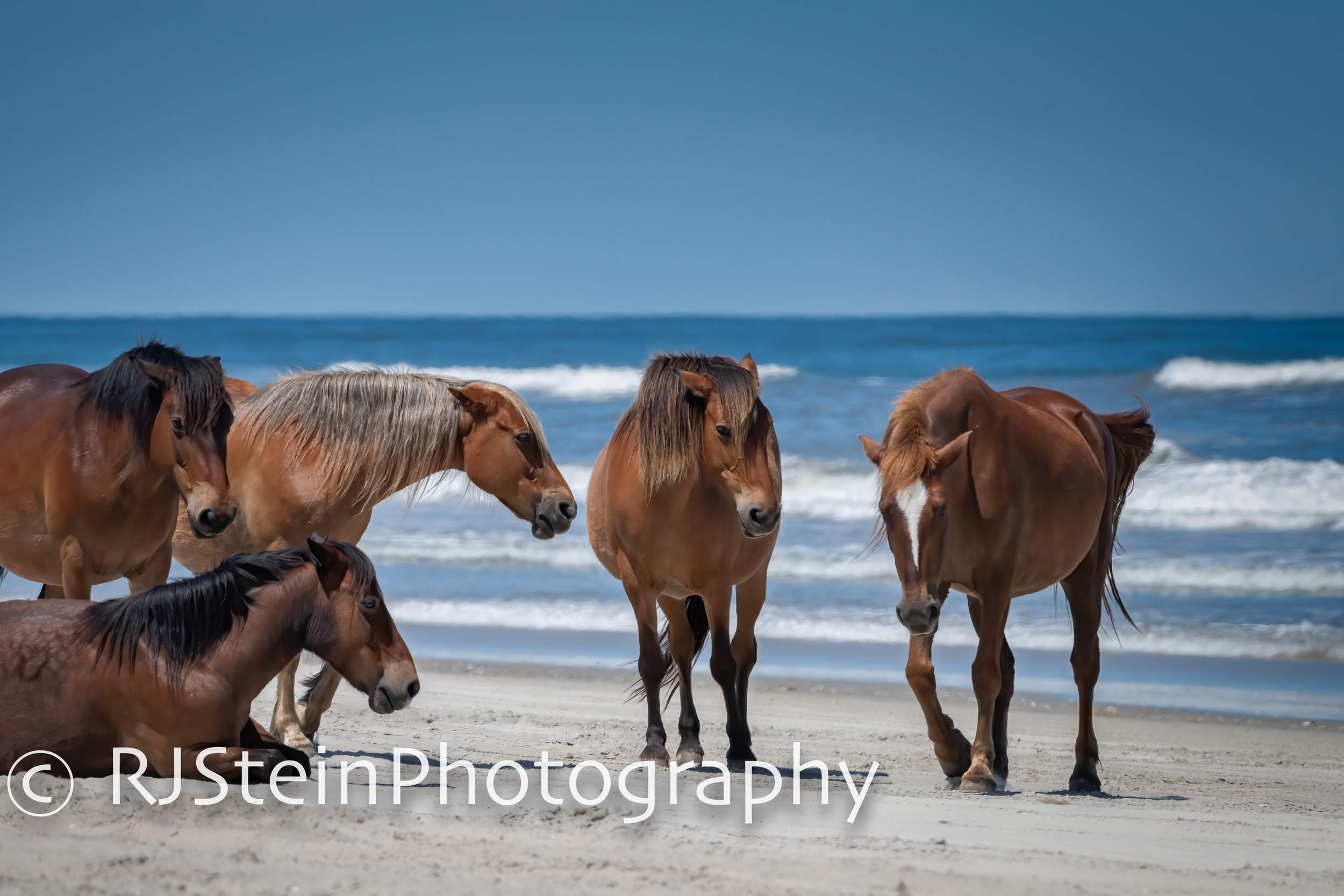 corolla coastline, north carolina, 2019