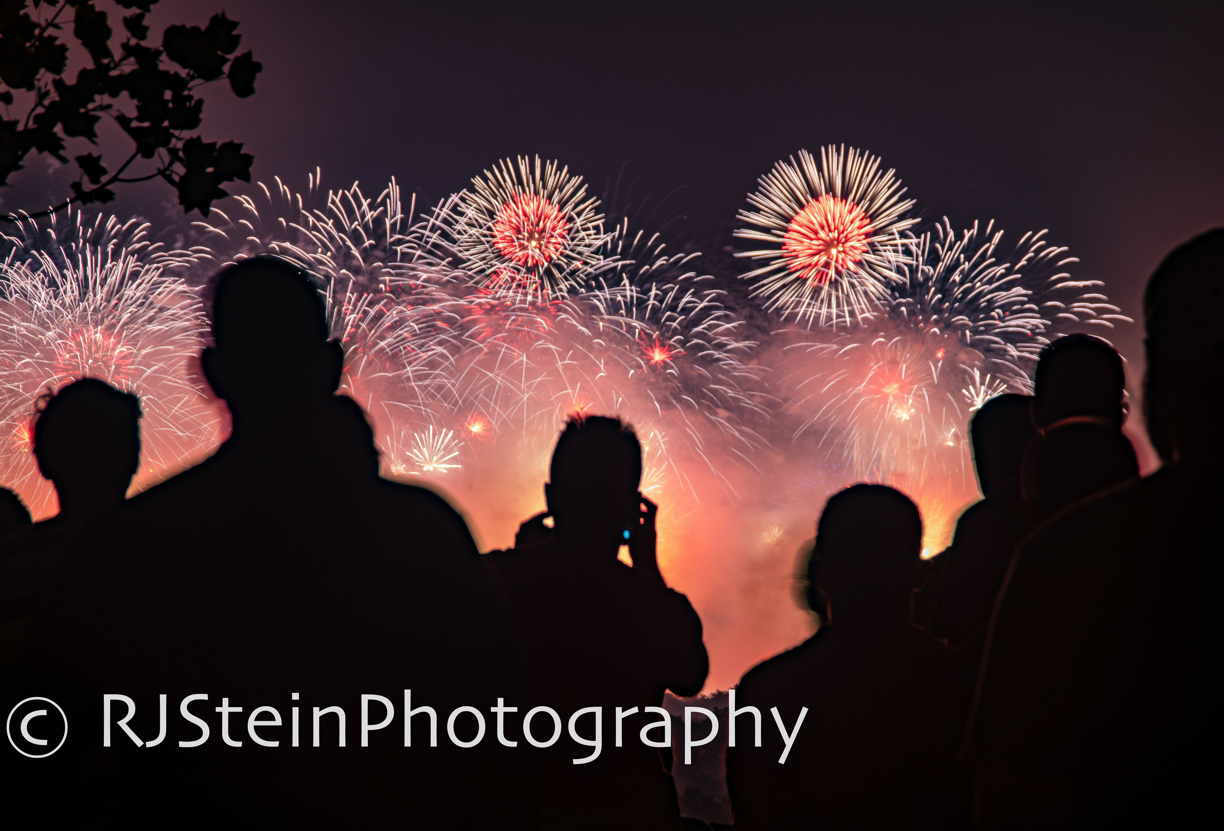 fireworks crowd, washington dc, 2019