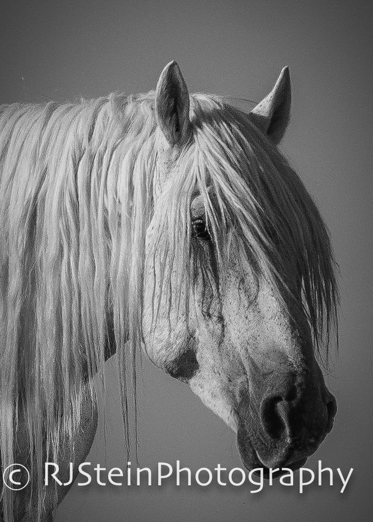 profile of an old man, utah, 2018