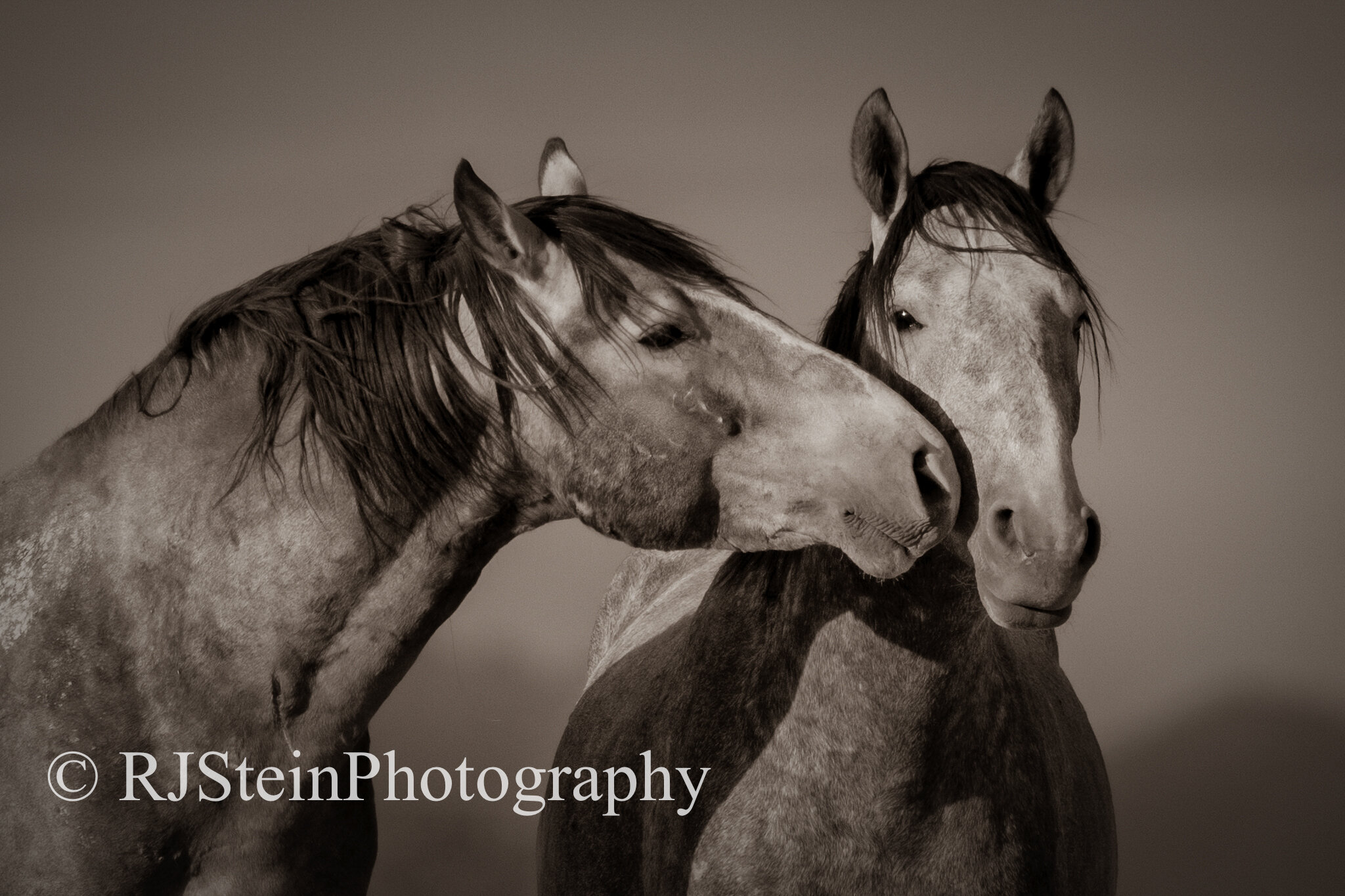 brothers keeper, utah, 2020