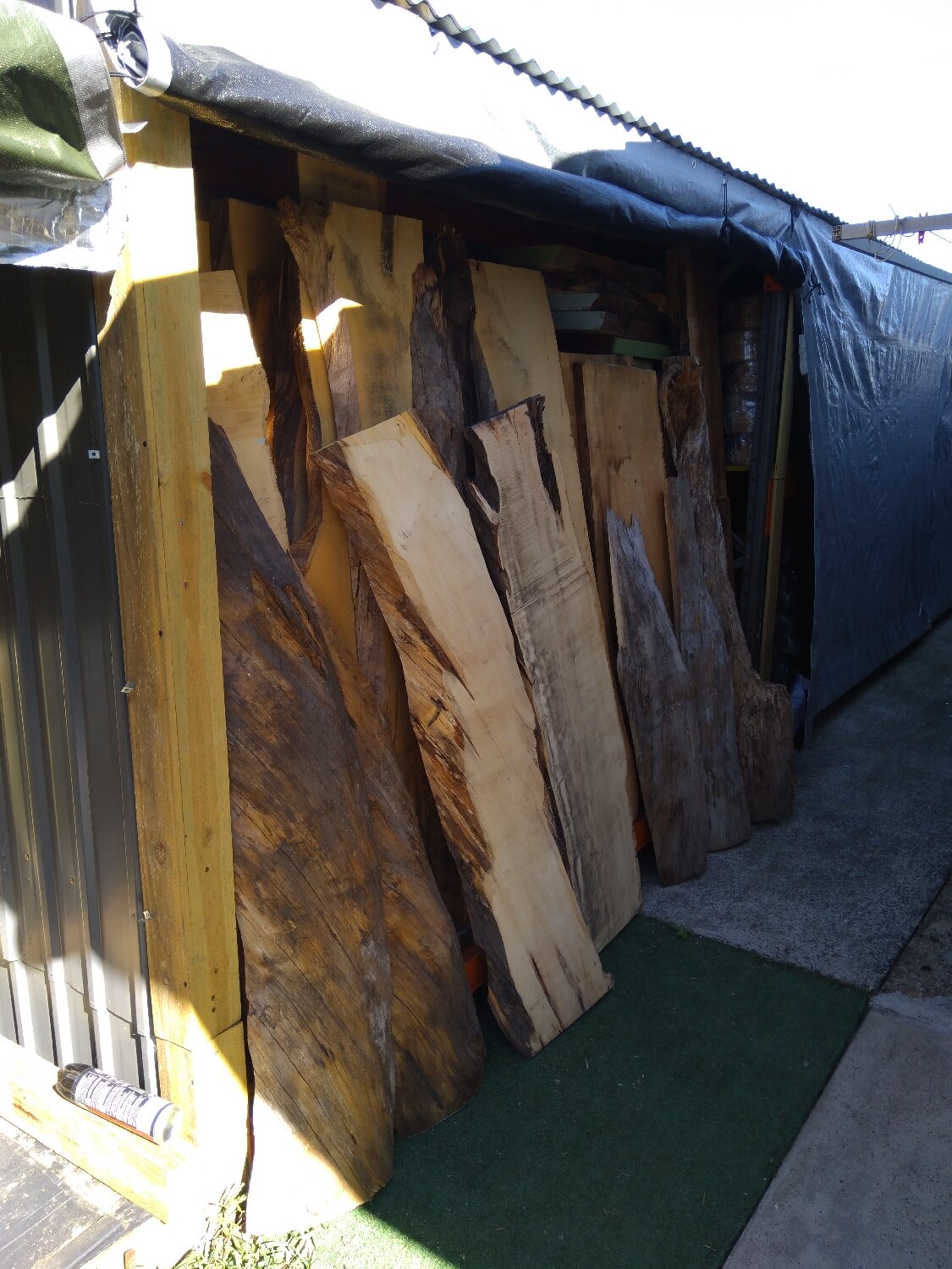 60mm thick Huon Pine and Celery Top slabs drying