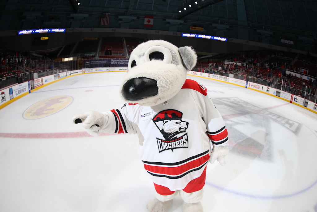 Chubby, the Charlotte Checkers mascot, during the AHL game between