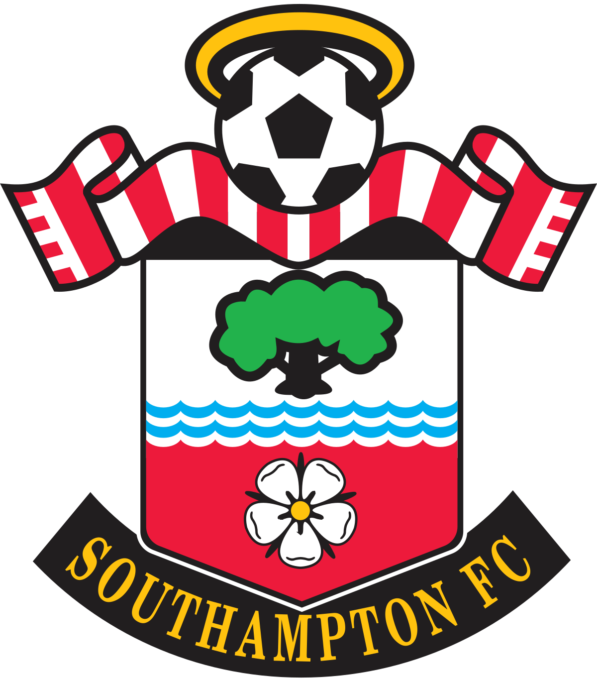 Credit: Southampton FC