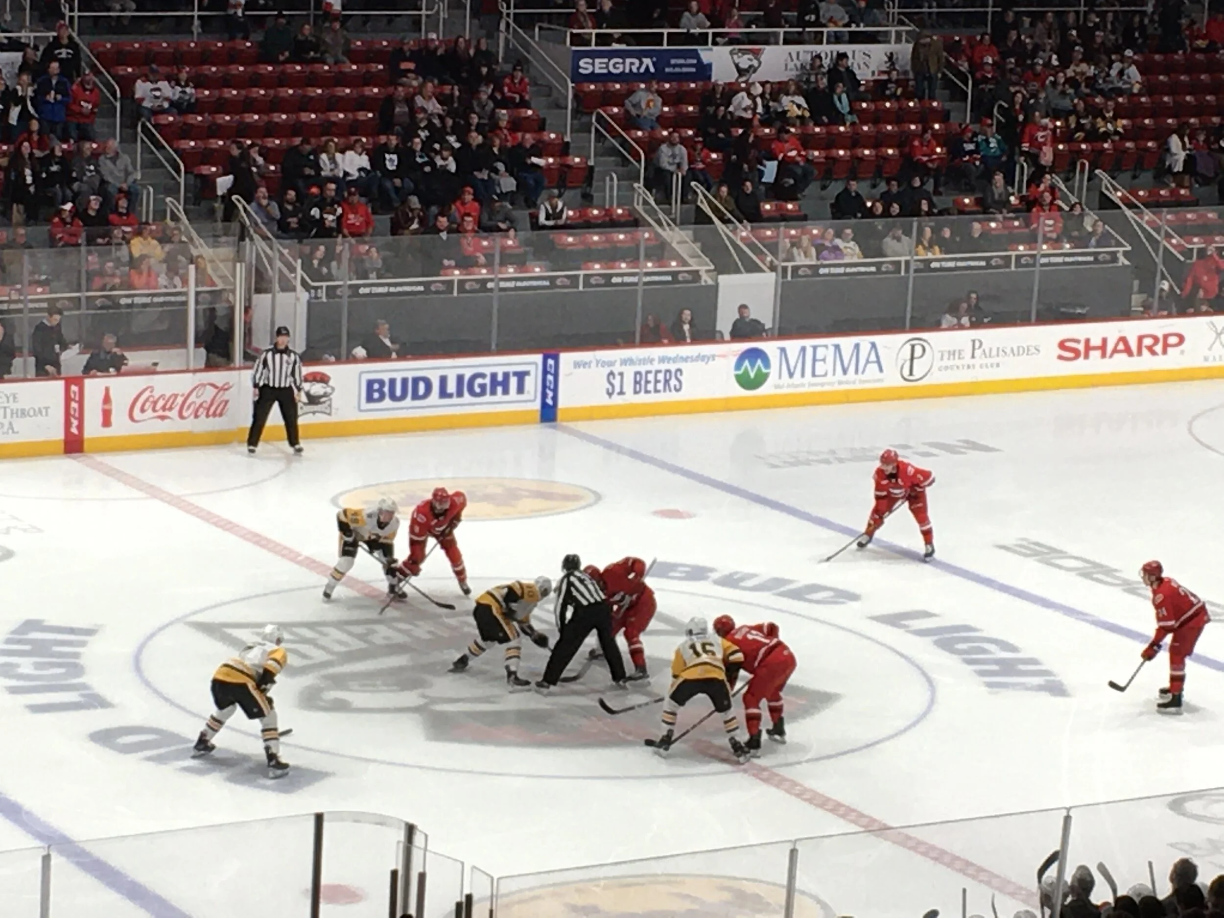 Charlotte Checkers Report (Jan. 31)