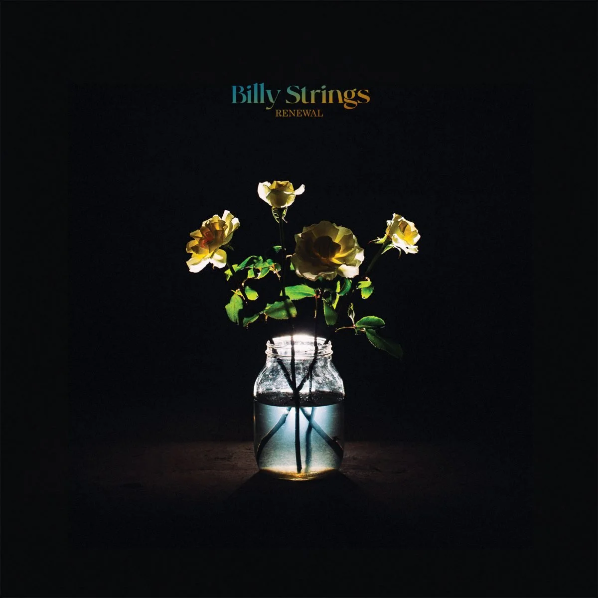 Song of the Day: Red Daisy