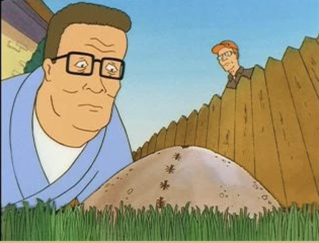 Top 10 Best King of the Hill Episodes