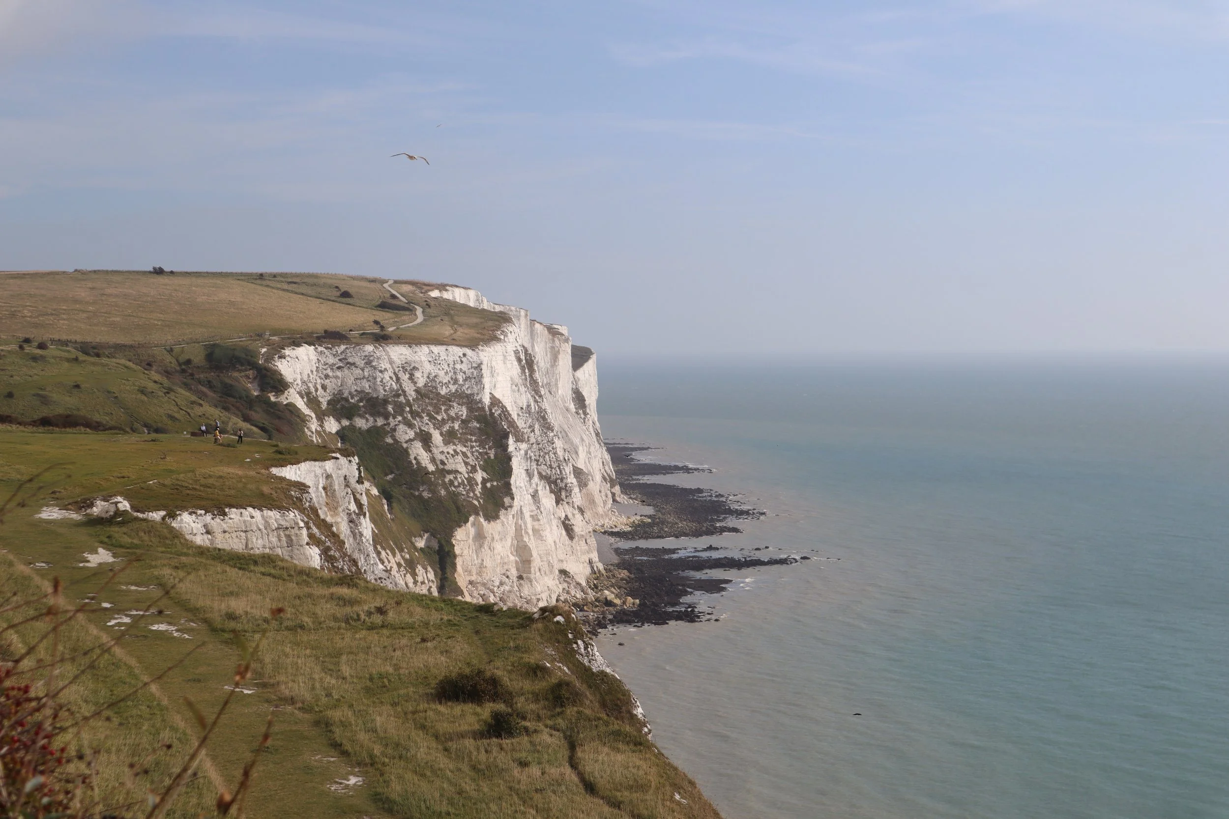 Song of the Day: Cliffs of Dover