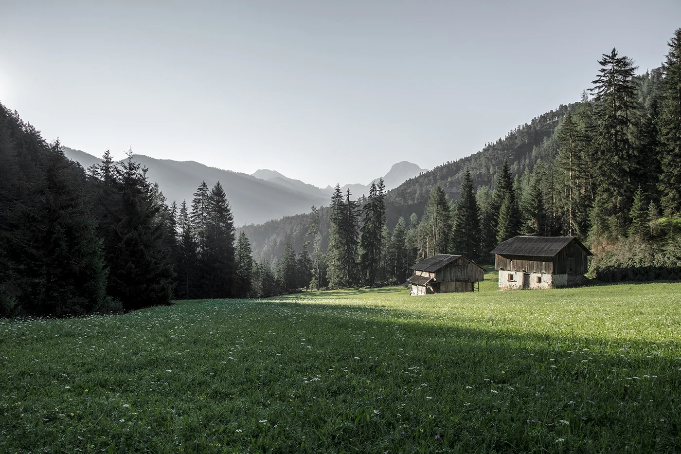 IMG_7826_GW.jpg