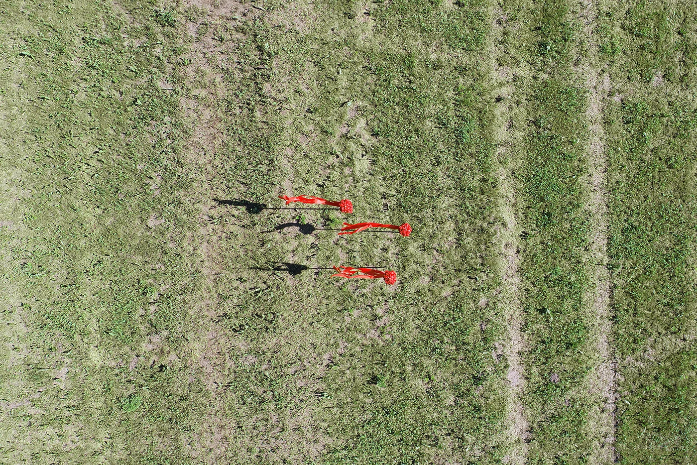 QAI_JIANG_DJI_0010_GW.jpg