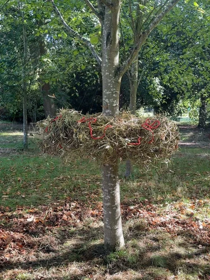 🫛 🧚&zwj;♀️ ⭕️ 
My piece &lsquo;PEA&rsquo; for this years @strawbhillhouse flower festival, tucked away in one of the gardens&rsquo; tree groves was inspired by the land art movement of the 1970s.
I wanted to make something that communed with the na