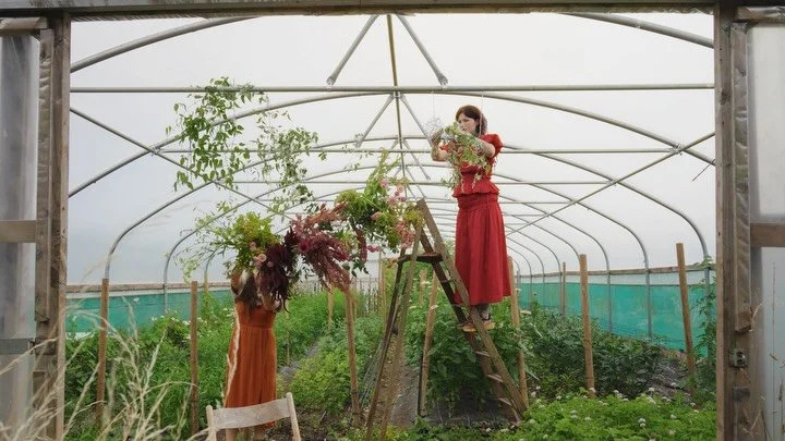 With a summertime cloud of lime &amp; pink in the polytunnel at @saltboxandco, A Seasonal Conversation completes its first full rotation.

We&rsquo;ve enjoyed forging a new seasonal tradition and sharing it here over the last four seasons, sometimes 