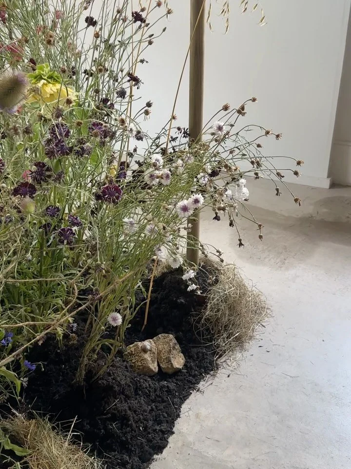 G R O W I N G  S E A S O N 🌱

A transient exhibition, growing and then gone again in just over a week, was a show of past ephemeral works captured with photography and live floral installation at the beautiful @field.system in sweet Ashburton, Devon