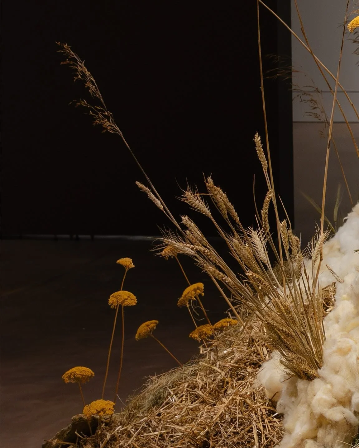 GOLDEN VALLEY was commissioned by @thewilsonchelt for COMMON GROUND, an exhibition guest curated by artist @ben_edge_art 

The exhibition explores stories of change, loss, rebellion and reclamation in relation to common land and the natural environme