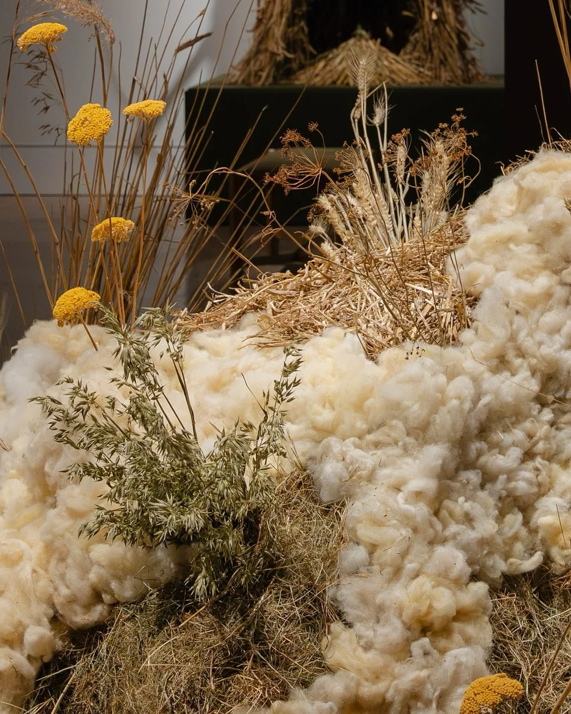 GOLDEN VALLEY was commissioned by @thewilsonchelt for COMMON GROUND, an exhibition guest curated by artist @ben_edge_art 

The exhibition explores stories of change, loss, rebellion and reclamation in relation to common land and the natural environme