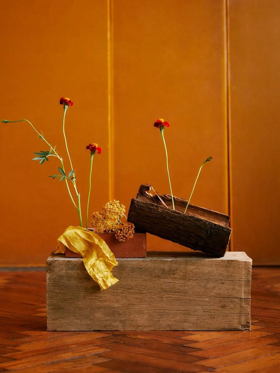 Marigold &amp; yarrow from last years dye project with @centre.half &amp; @alohabshaw 

🧡💛