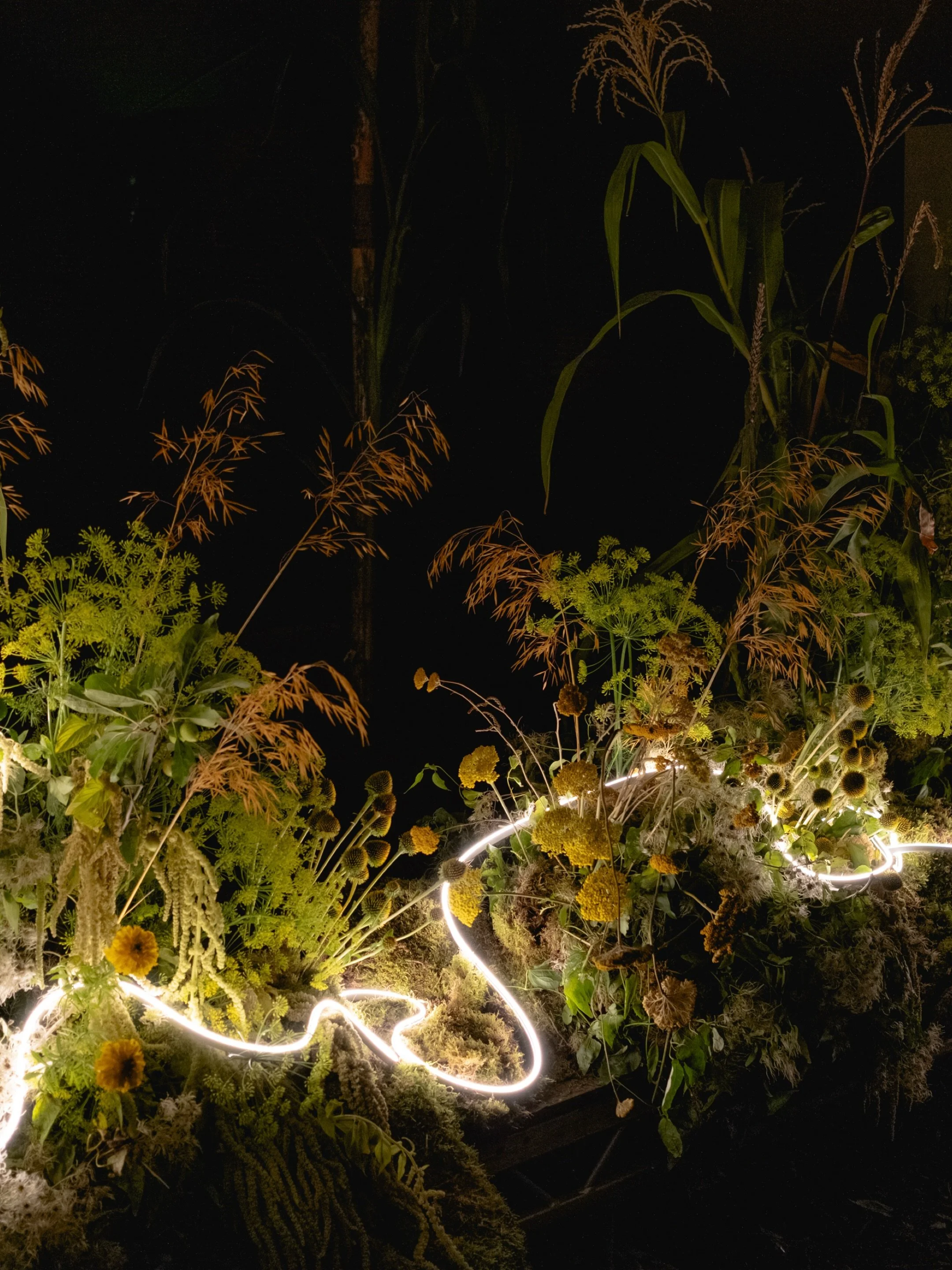 A sonic meadow, botanical dance orb &amp; party portal for @leylinesfestival 2026

What an incredible slice of joy @bella_martiiin &amp; the team are creating in the woods! 
Pleased to have played a part in the magic that&rsquo;s being conjured here.