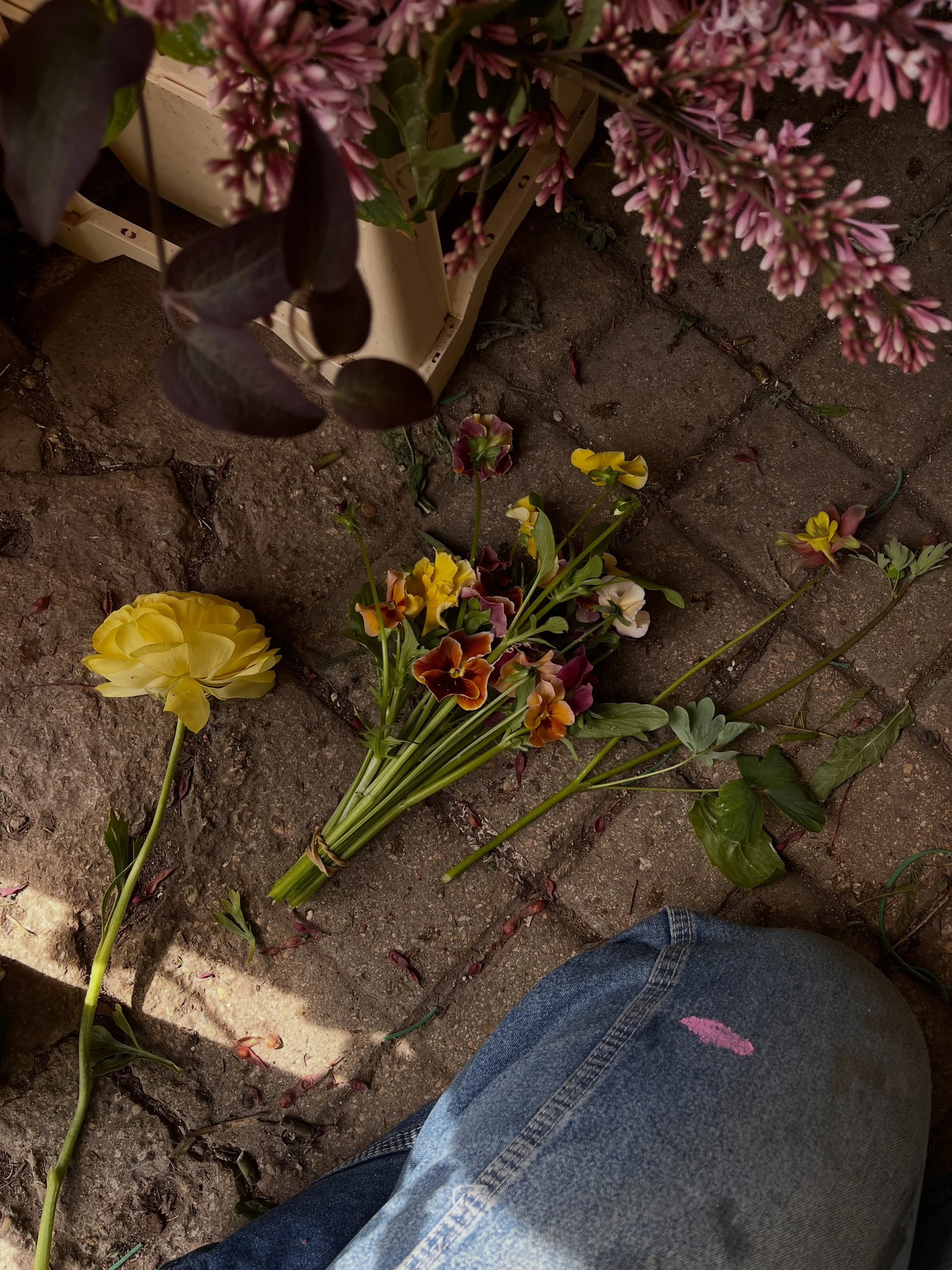 Flowers for a goodbye, May &lsquo;26.
Back when the hedgerows were still green.

@saltboxandco grown as per
🤍