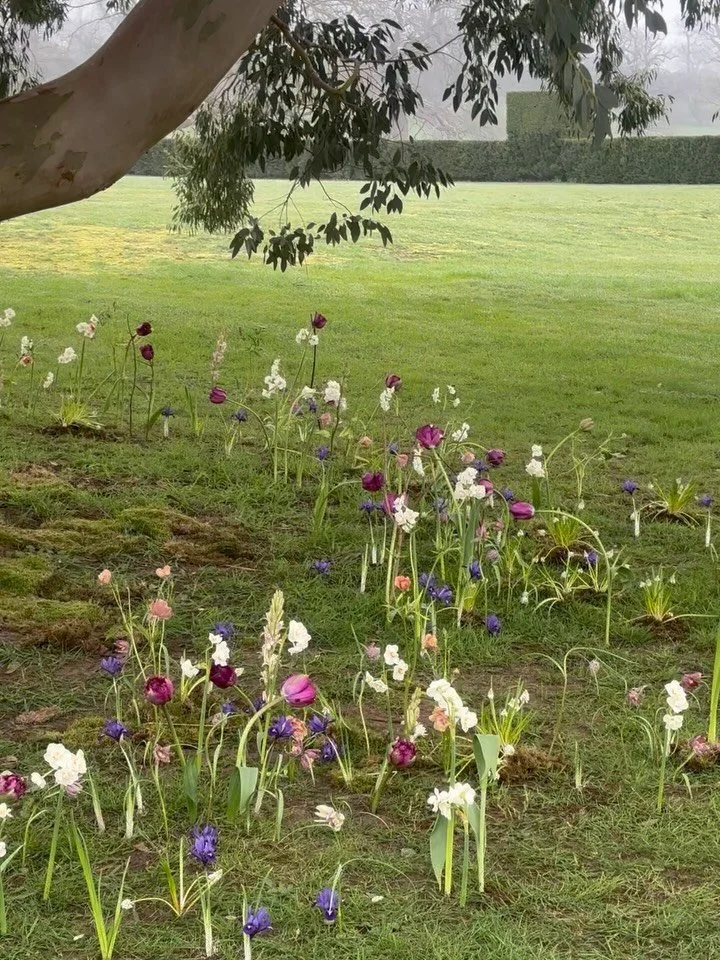 Spring with @ffern.co 

#ffern #floraldesign #springflowers