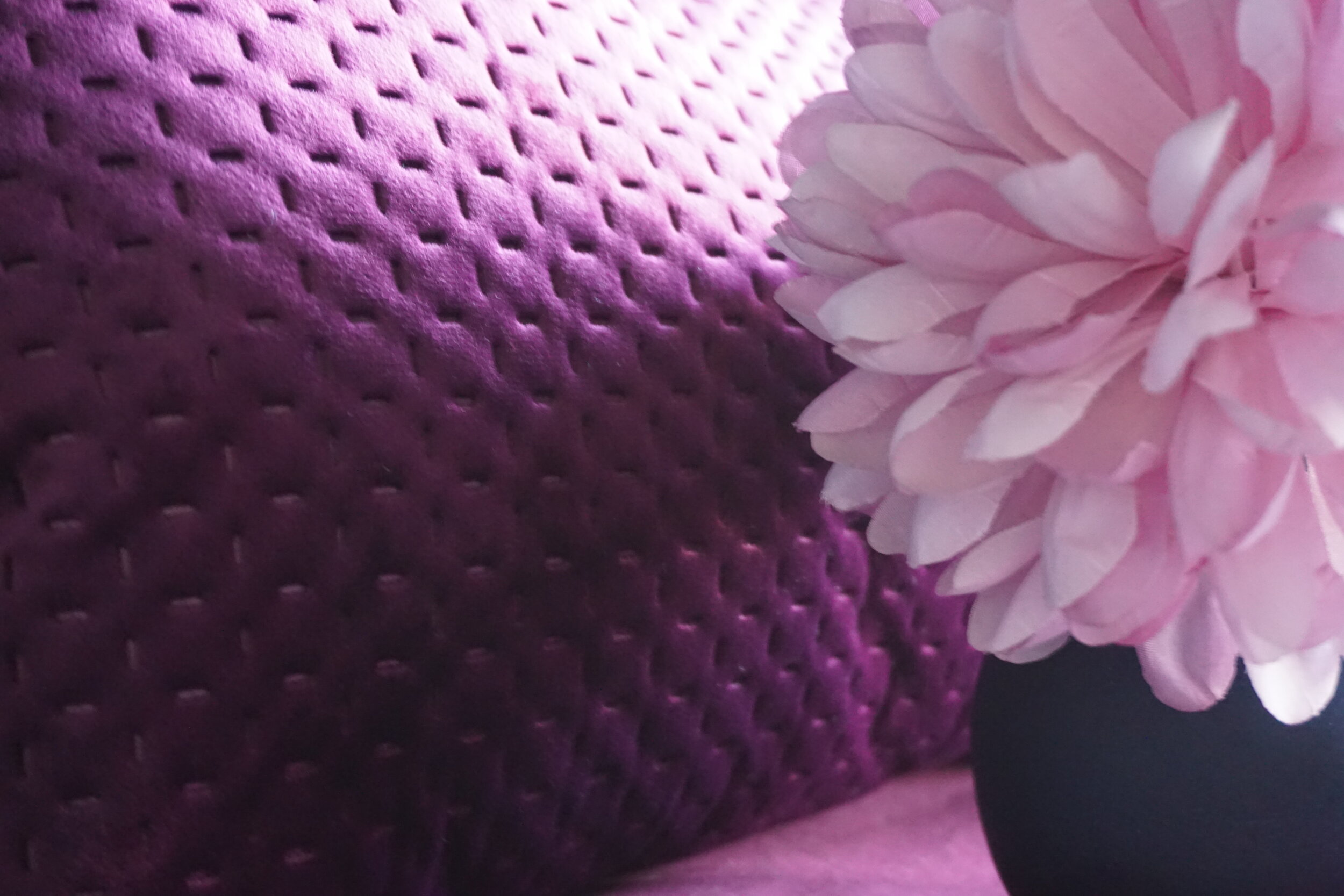 VELVET CUSHION.JPG