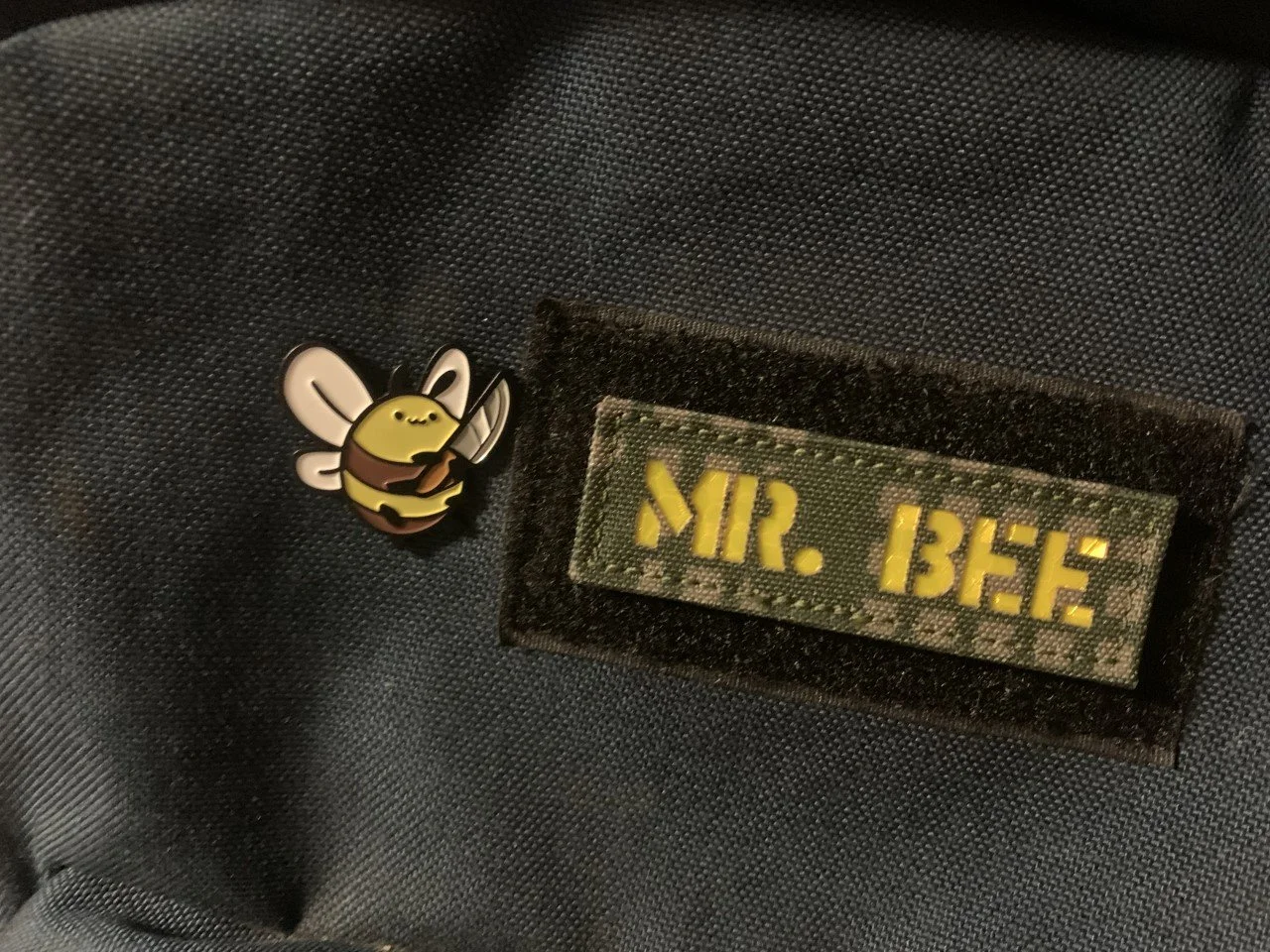 Mr. Bee.jpg