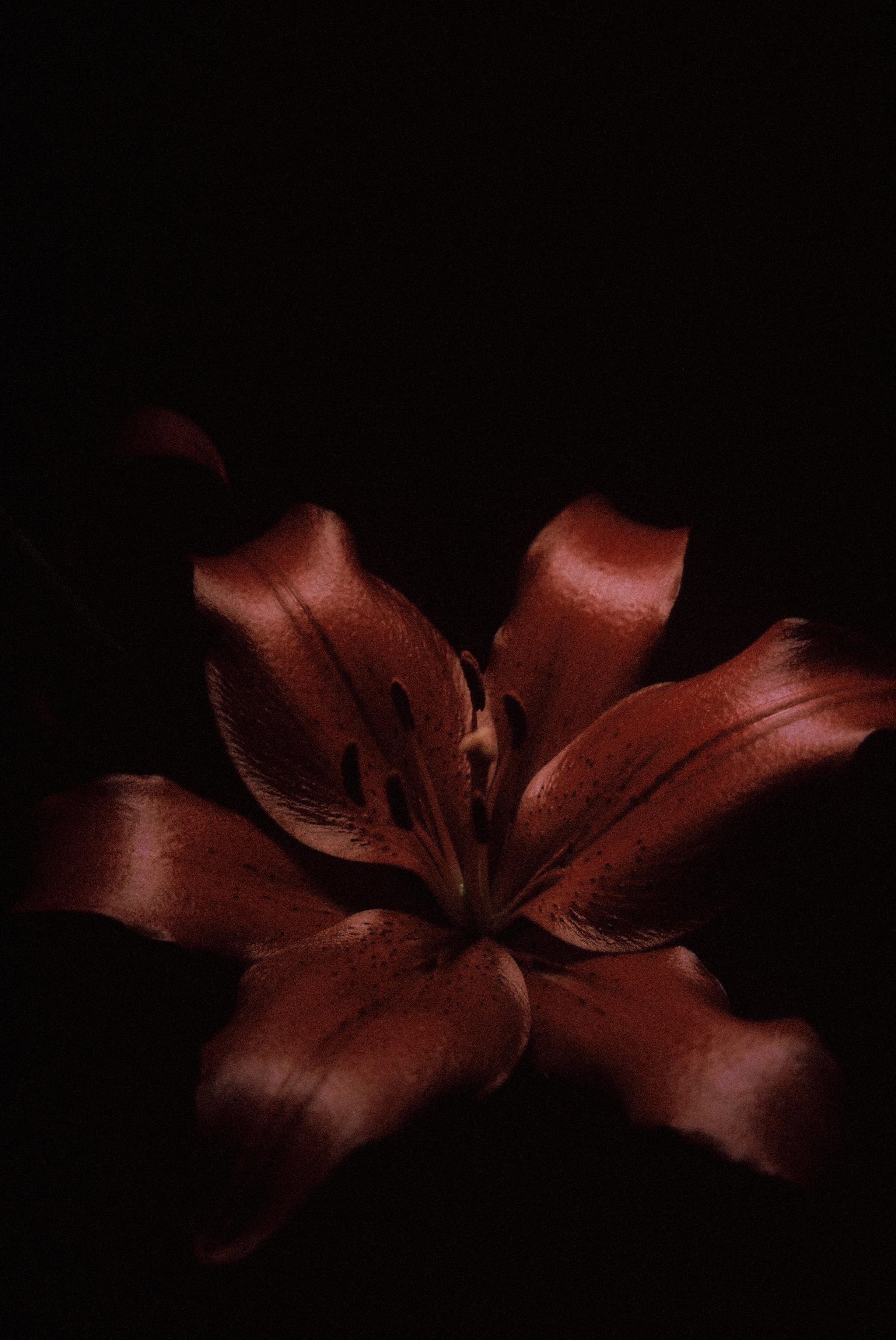 CNV000022_1.jpg