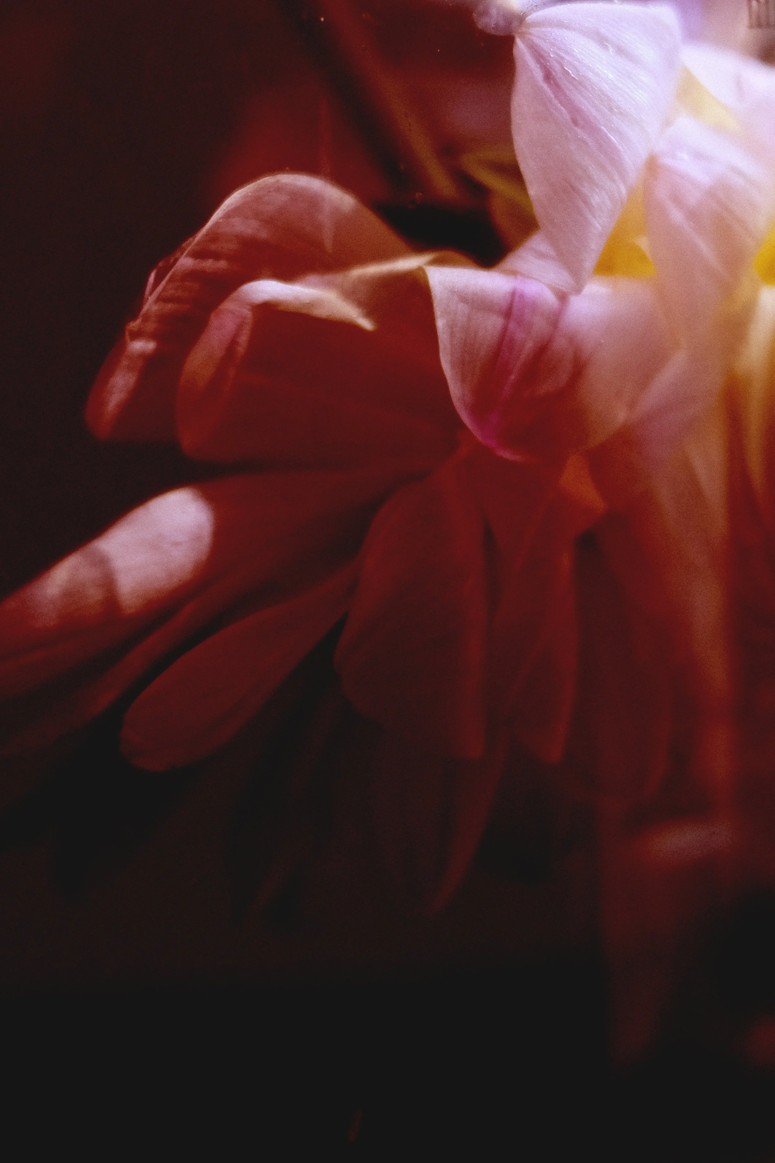 1DSCF9005.JPG