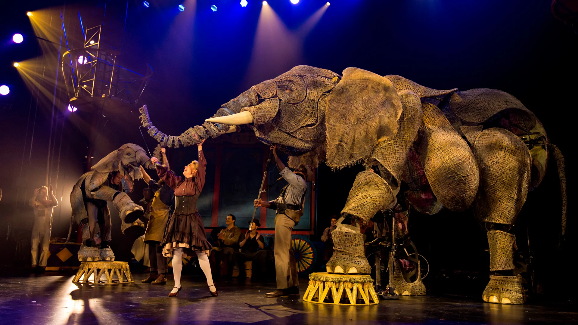 CIRCUS 1903 Have you seen the Greatest Showman and did you love it? Have you seen the theatre production of War Horse and did you love it? If the answer to both those was yes then you’re gonna let out a little squeak of joy when you hear about Circus 1903. Fresh from the Paris Theatre in Las Vegas, Circus 1903 is coming to London’s Southbank Centre from the 19th December for 3 weeks ONLY. With acrobats, contortionists, jugglers, trapeze and high-wire performers plus life size elephants from the puppeteers of War Horse. The mammoth cast features performers from all over the globe who are set to make our jaws drop to the floor as they transport us back to the golden age of circus. The Circus 1903 ringmaster is David Williamson, an internationally acclaimed comedy magician with whom the cheeky “elephants” play with as he entertains the crowds. Peanuts the baby elephant will also be making plays for some fun with the children in the audience too. Much like War Horse, spectators have said its takes seconds to forget they aren’t real animals which is testament to the award winning puppeteers and the skilled gymnasts who operate them. Tickets start at £25 and it’s going to be a sell out so hurry and book in now. Facebook | Instagram | Twitter
