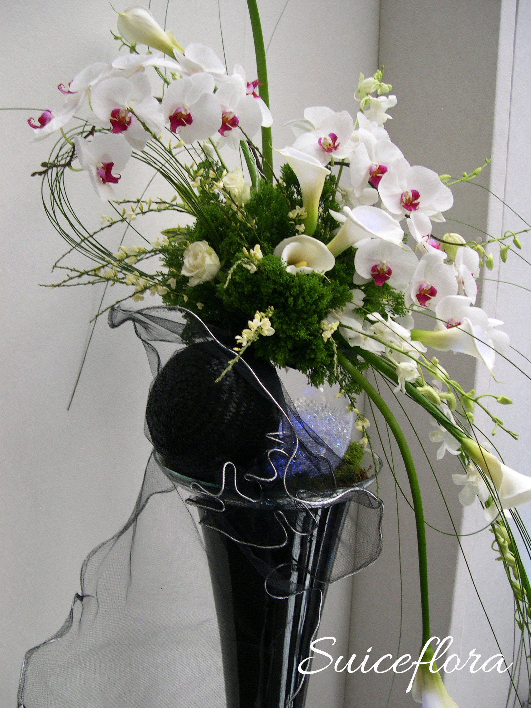 Copy of DSCN7617.jpg
