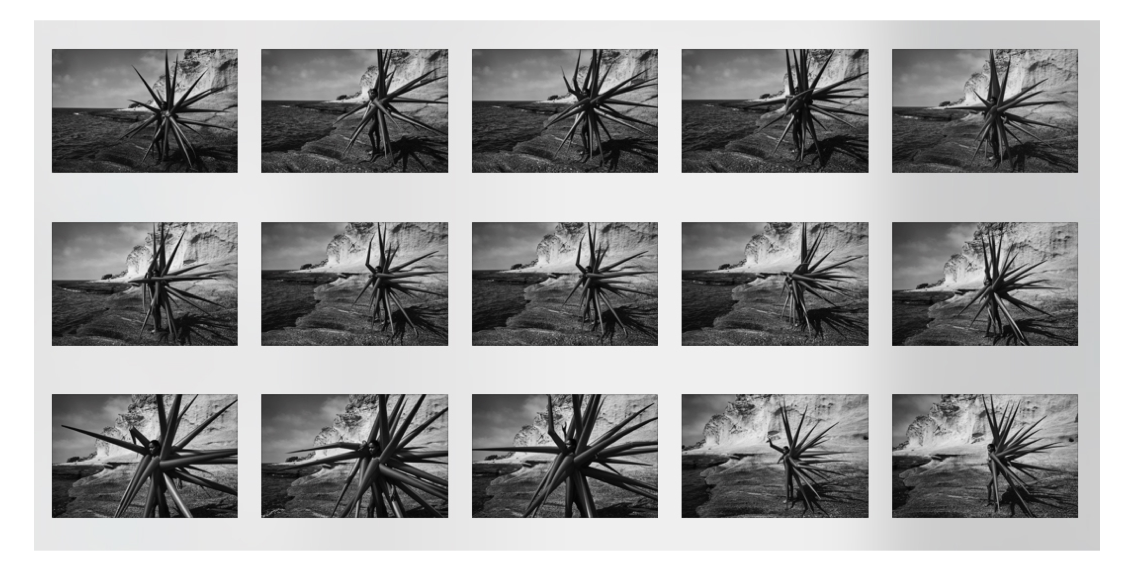 Figure 12. Studies of The Human Sea Urchin ( Diodon nichthemerus ), in ‘the Open’, as defined by Giorgio Agamben