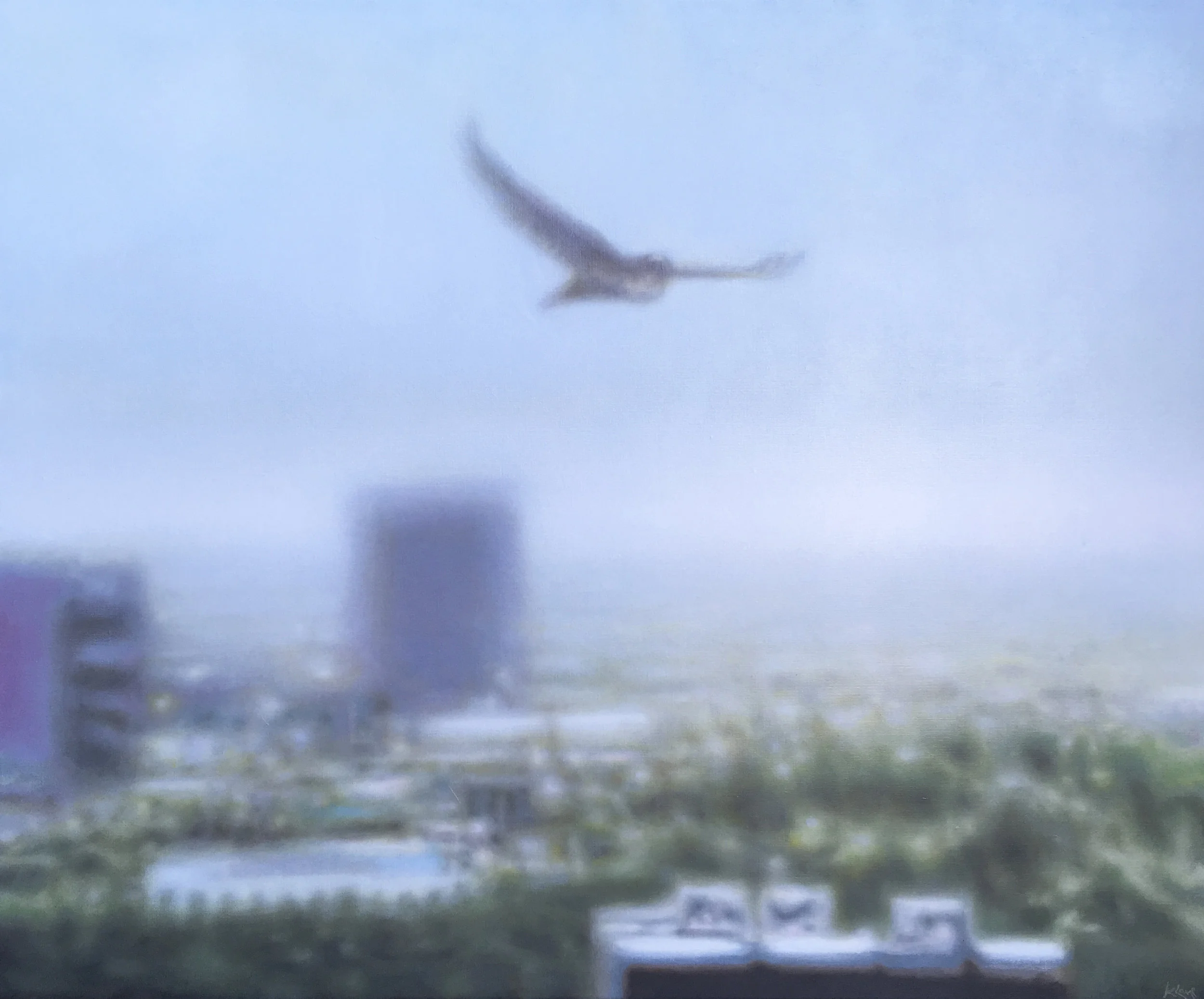Bird of Prey