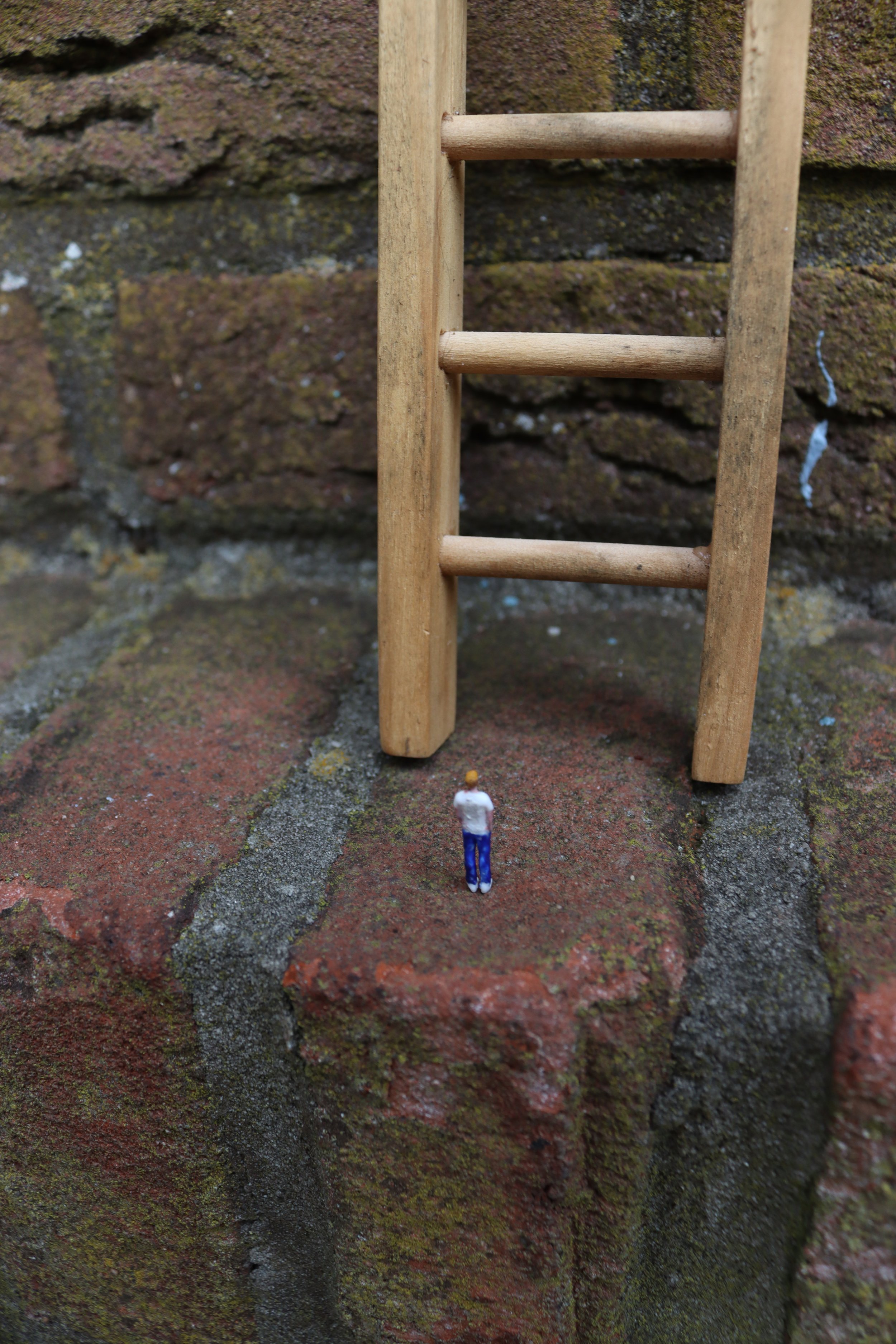 Miniature installation: Laddered