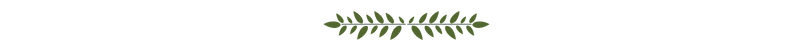 Leaf Flourish.png