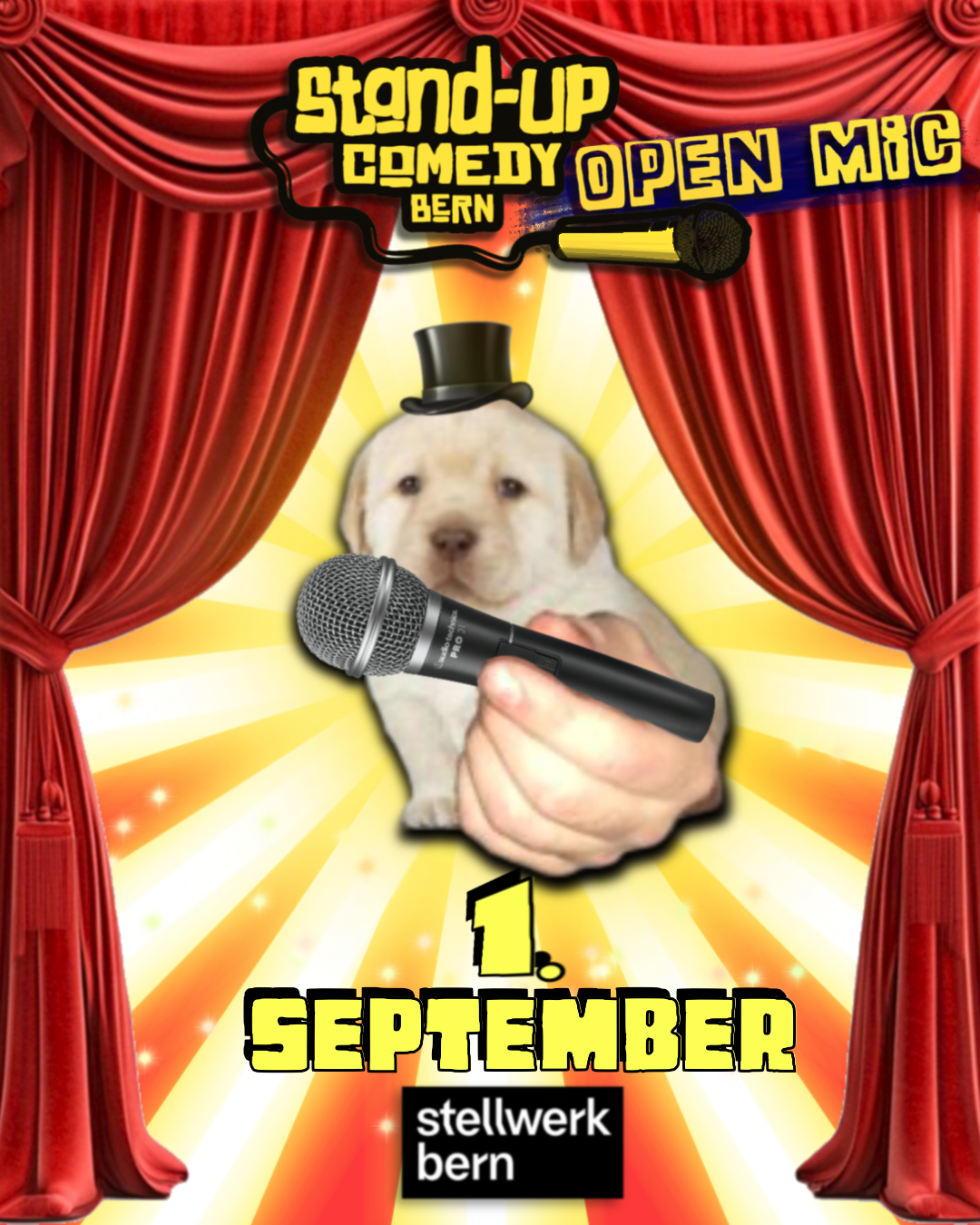 Stand Up Bern Open Mic im Stellwerk