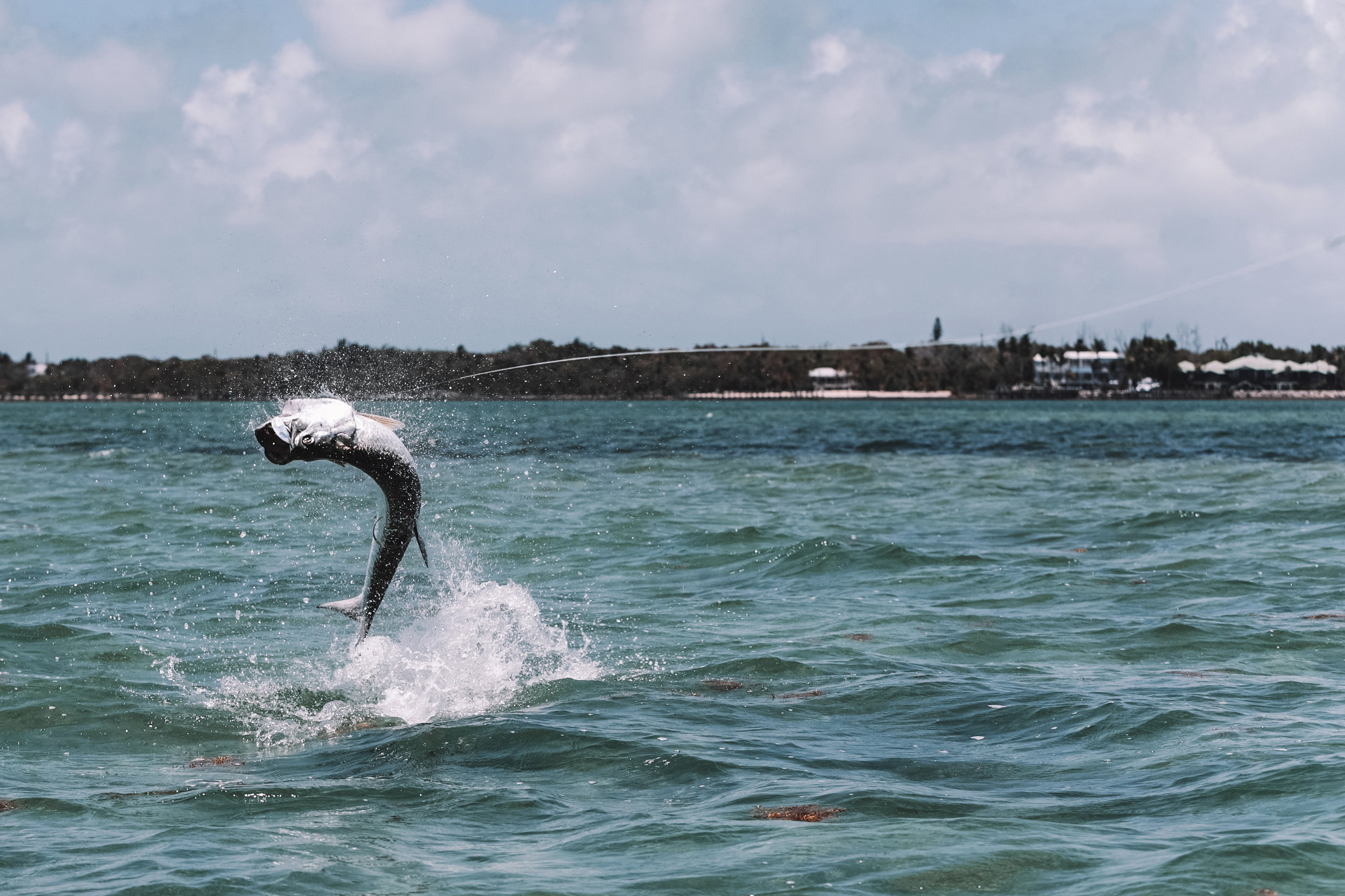 2019-05-04_Islamorada Tarpon Fishing-7.jpg