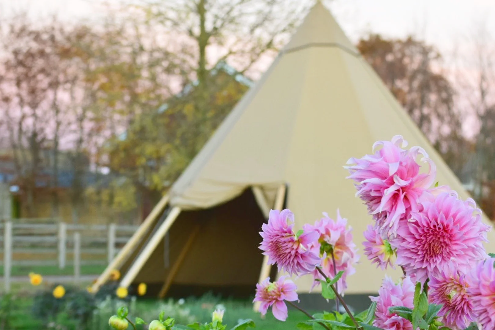 tipi.jpg