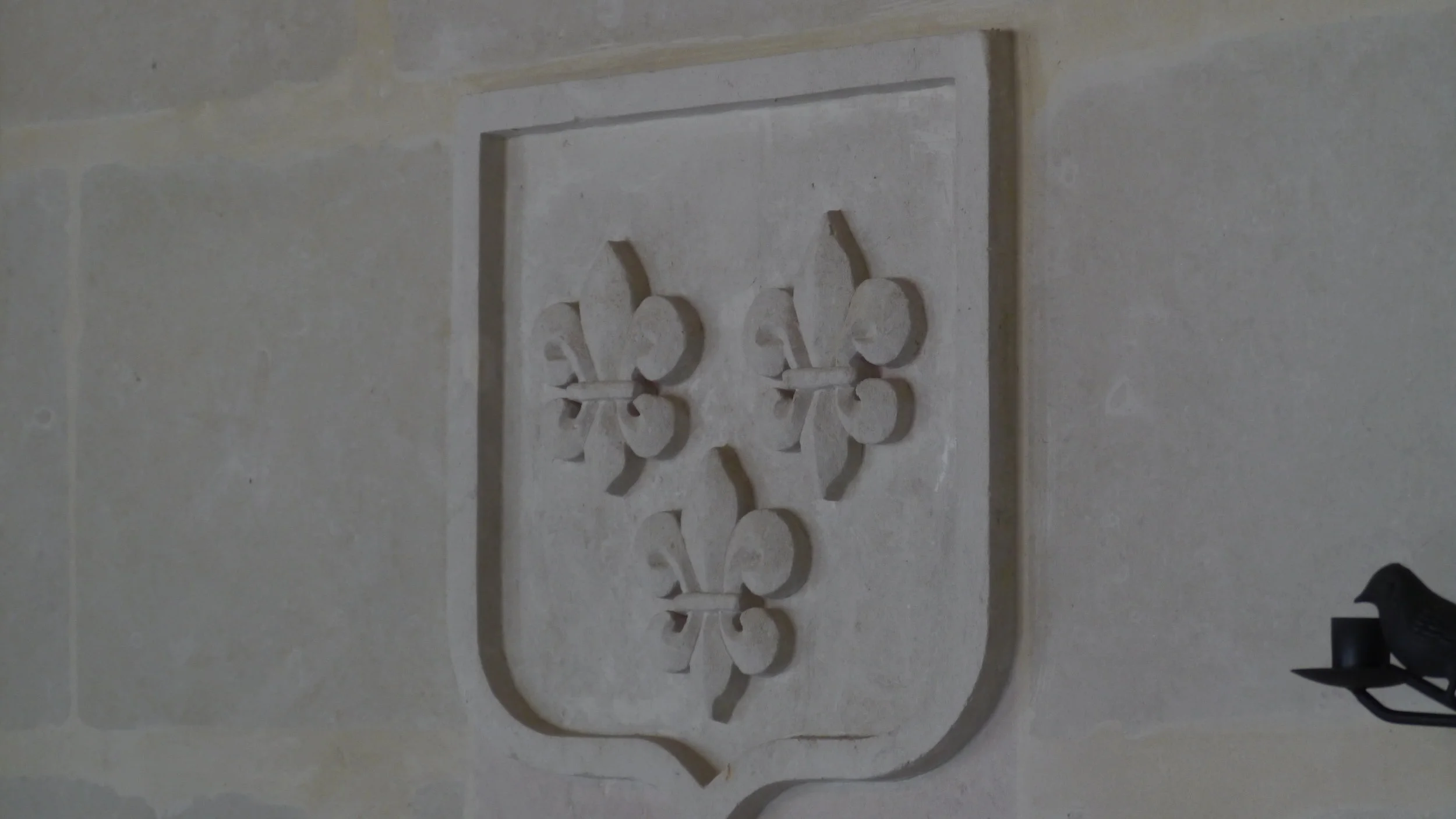 crest P1120586.JPG