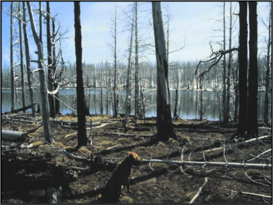 Effects of catastrophic wildfire in the western United States. (photo courtesy of Yakama Indian Nation)