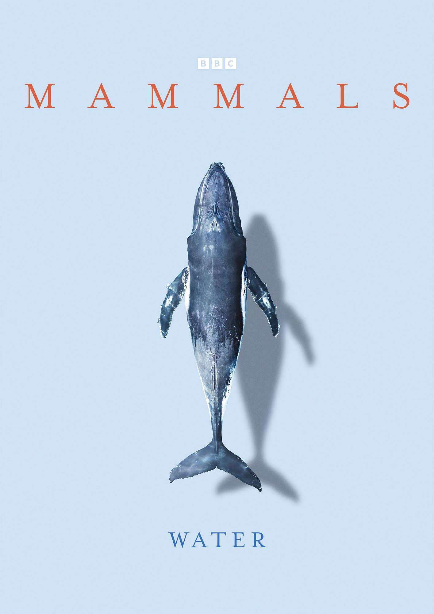 Mammals_Episodic_WATER_Portrait_.jpg