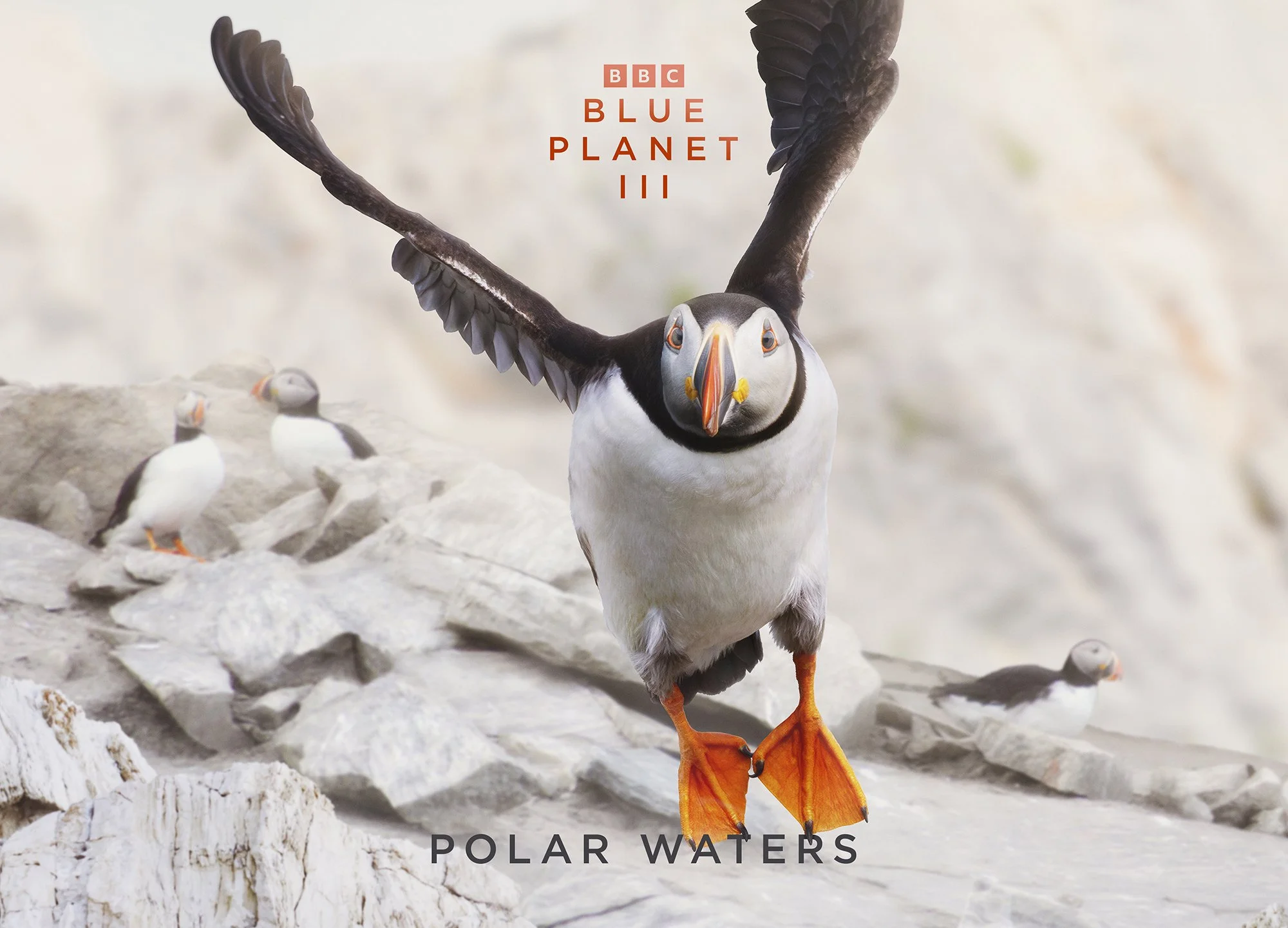 BBCS_BPIII_Polar_Waters_A3_Landscape_420x297mm_300dpi_RGB_AW.jpg