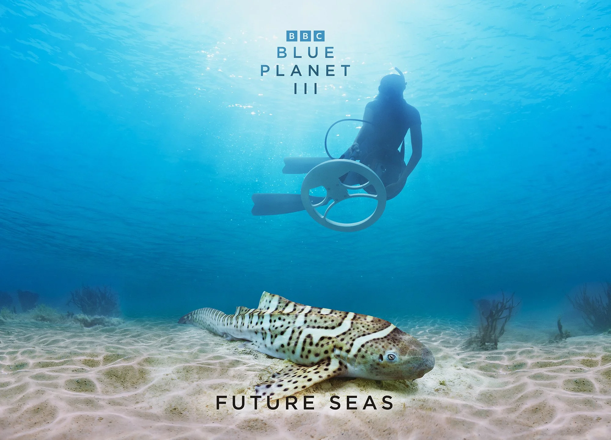 BBCS_BPIII_Future_Seas_A3_Landscape_420x297mm_300dpi_RGB_AW.jpg