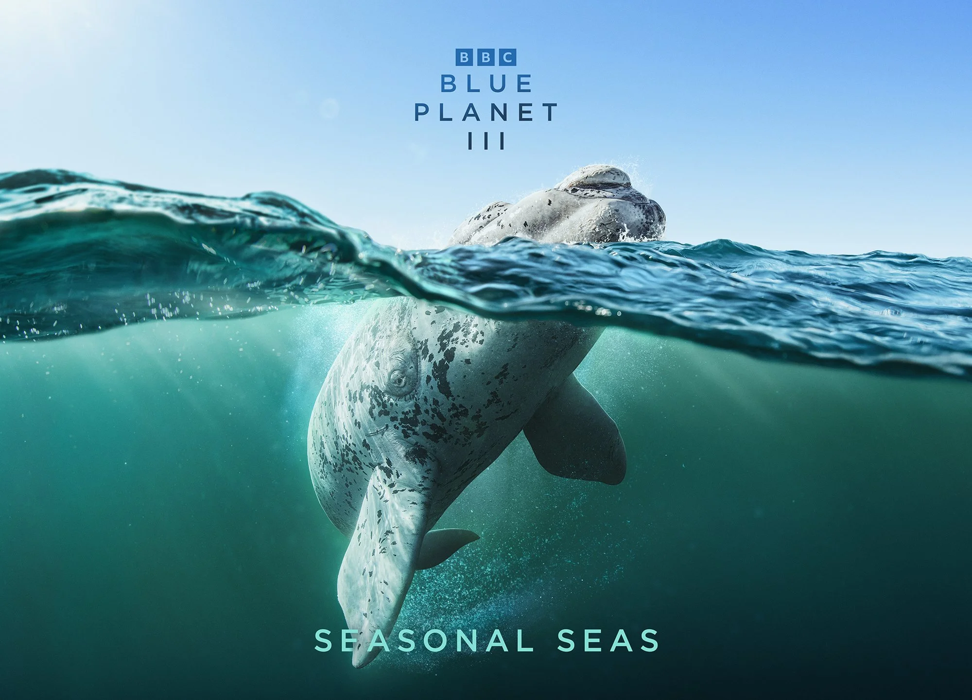 BBCS_BPIII_Seasonal_Seas_A3_Landscape_420x297mm_300dpi_RGB_AW.jpg