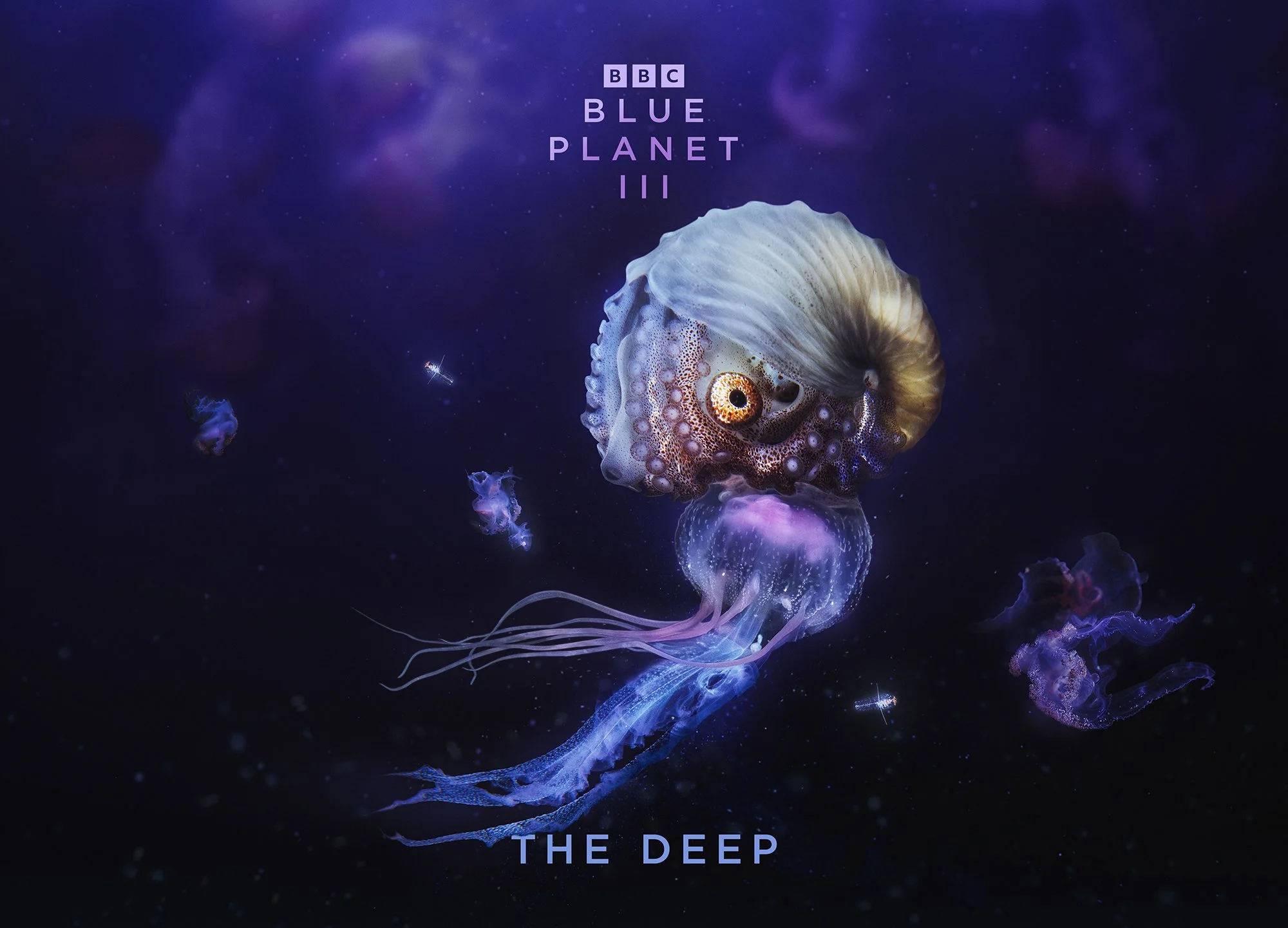 BBCS_BPIII_The_Deep_A3_Landscape_420x297mm_300dpi_RGB_AW.jpg
